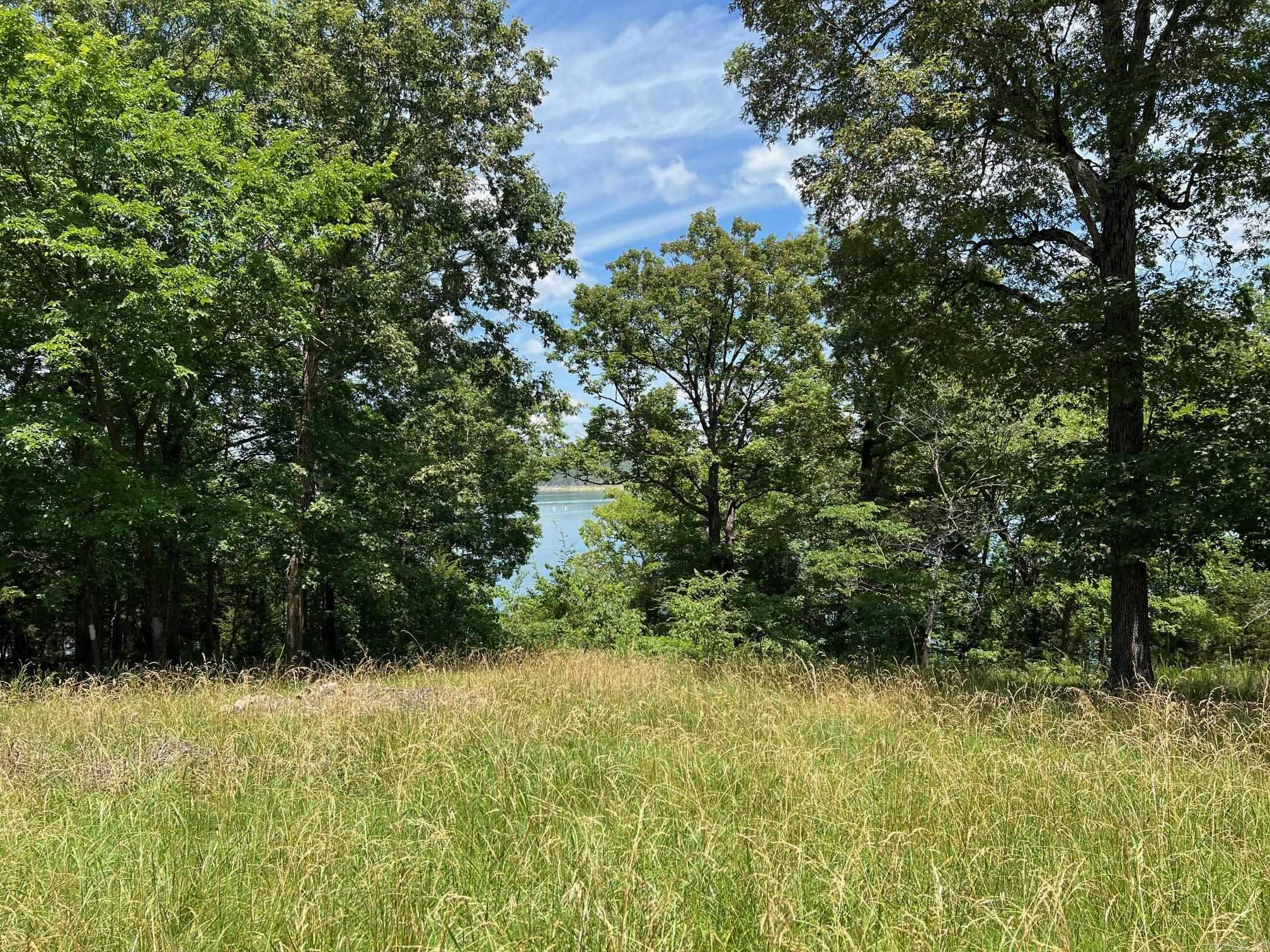 113 Evergreen Cove  Bull Shoals, AR