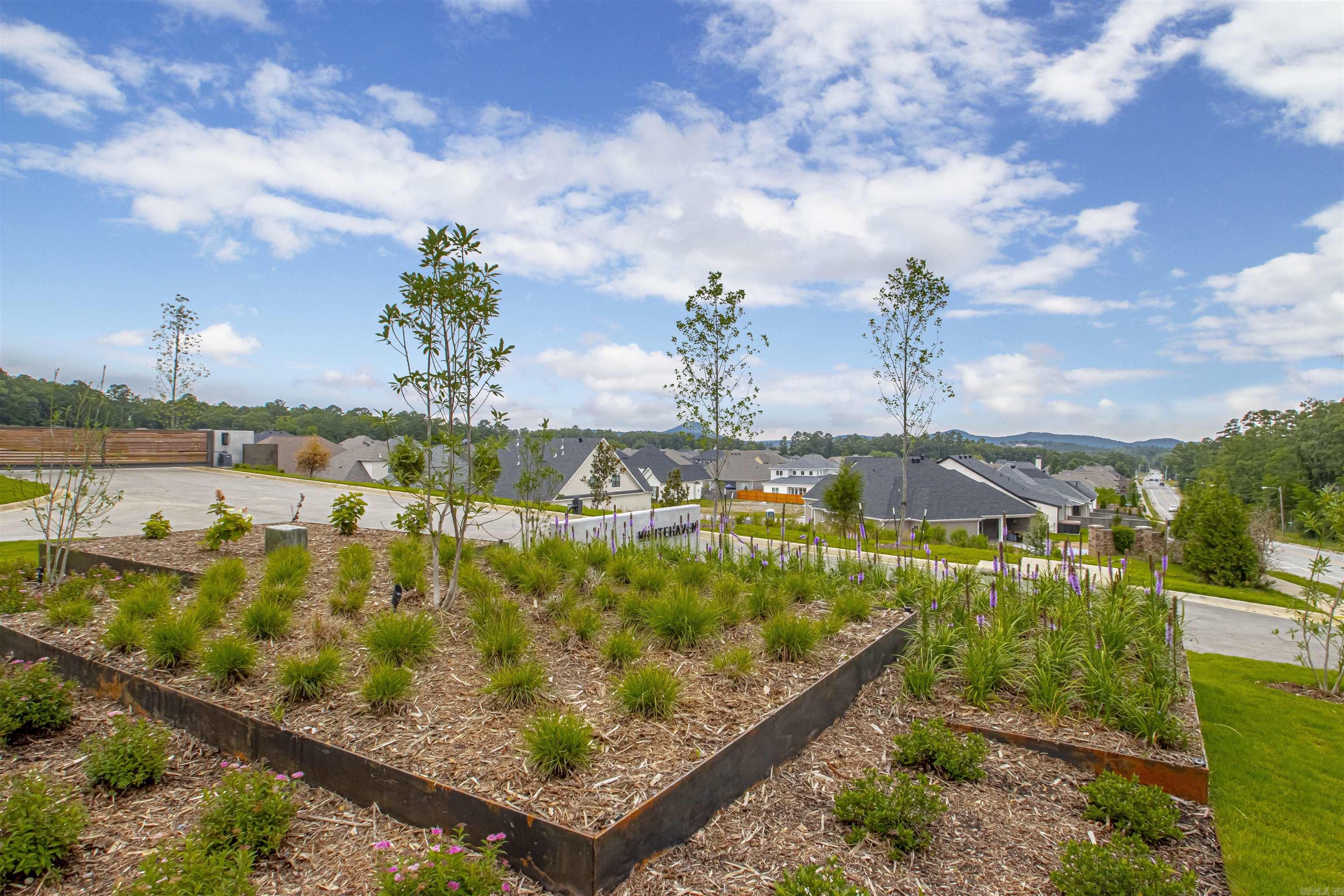 3 Whitehaven  Little Rock, AR