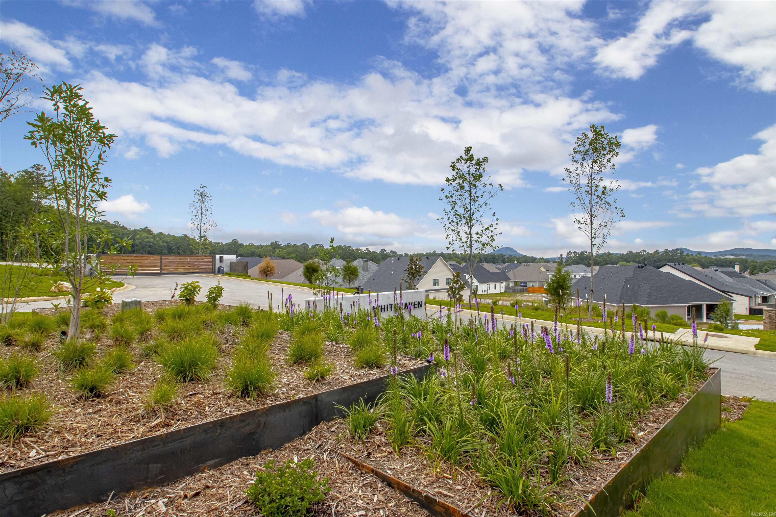 4 Whitehaven  Little Rock, AR