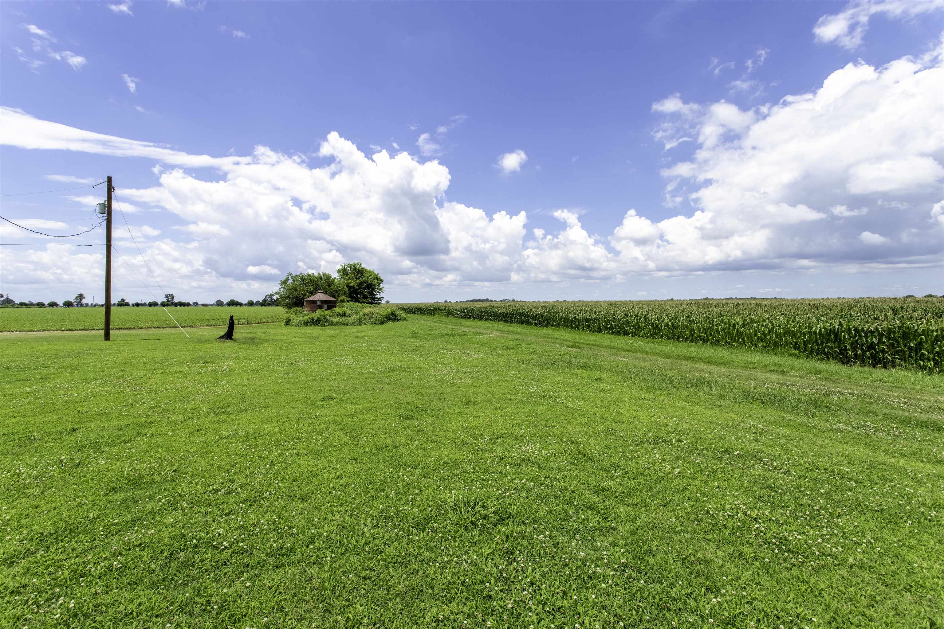 511 Pocahontas  Walnut Ridge, AR