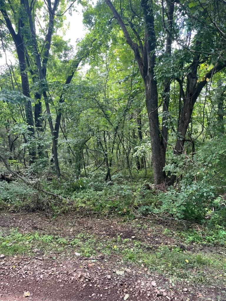 366 Hillhollow Road Marshall, AR 72650