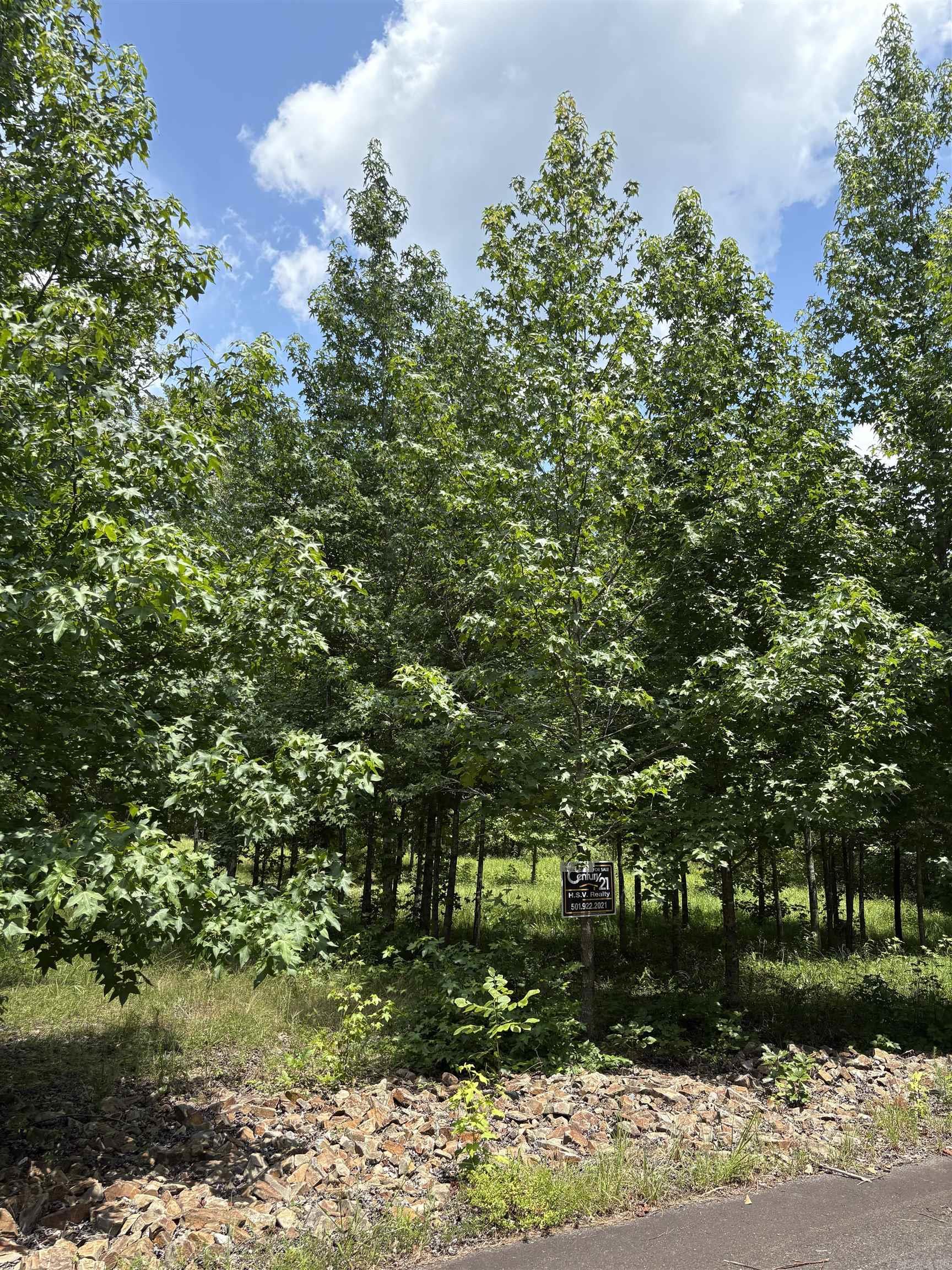 3 Ballobar  Hot Springs Village, AR