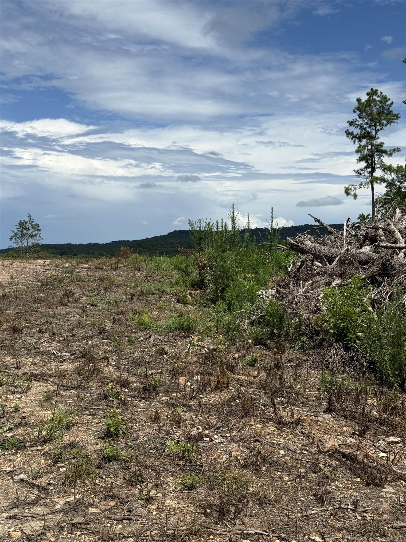 12950 Hwy 5  Norfork, AR