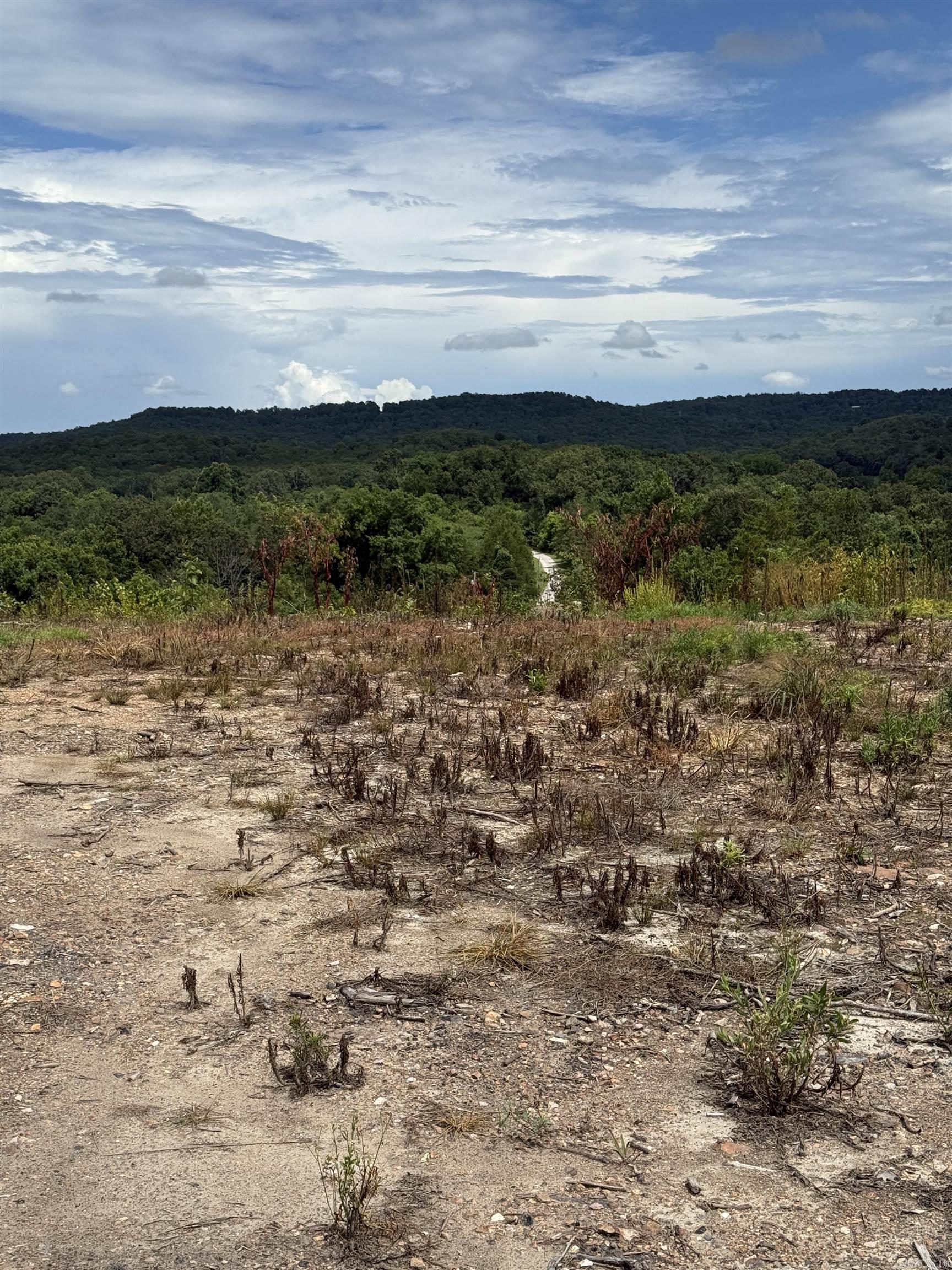 12950 Hwy 5  Norfork, AR