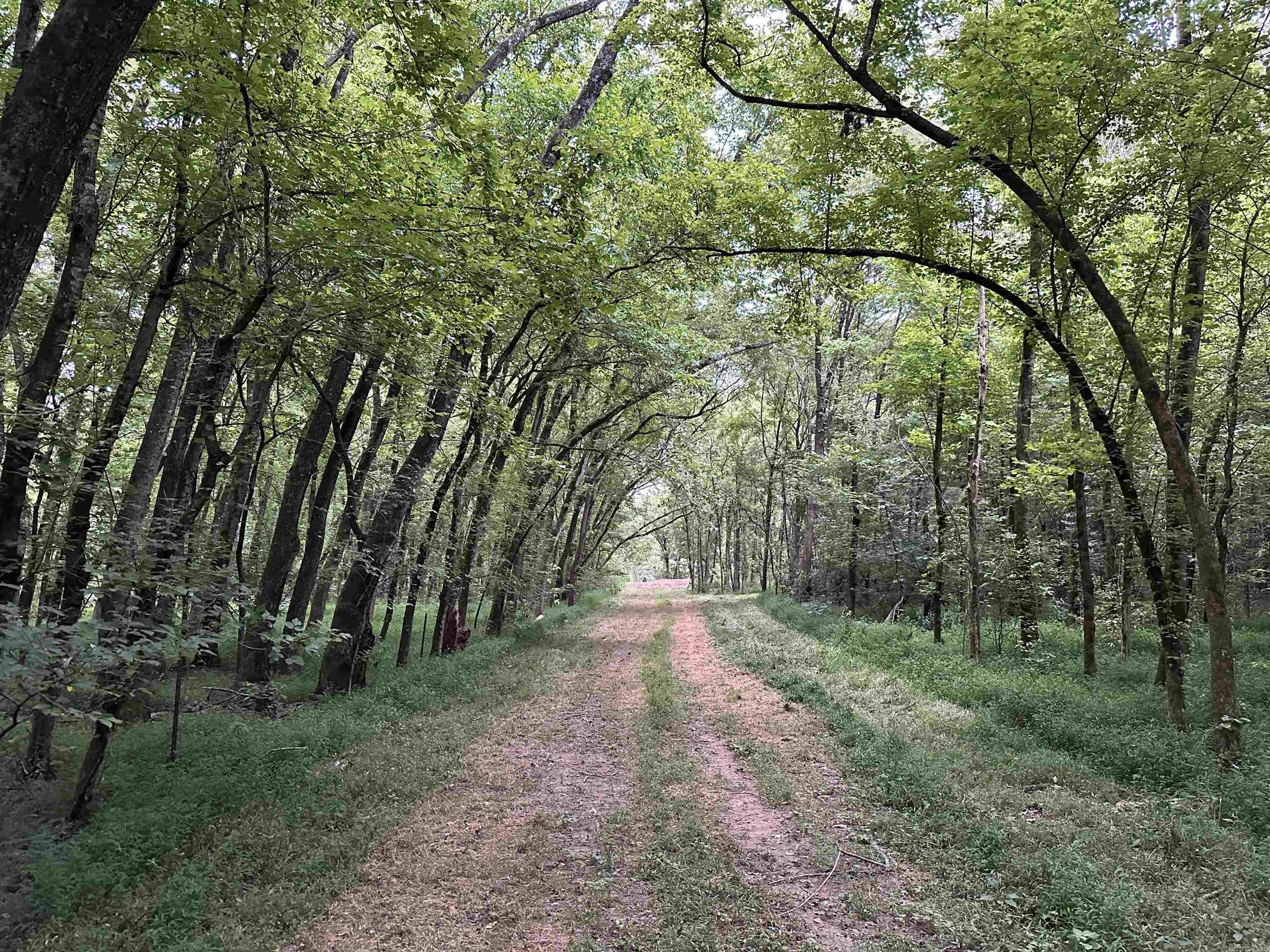 Lots 12 & 28 Riverway Rd.  Pangburn, AR