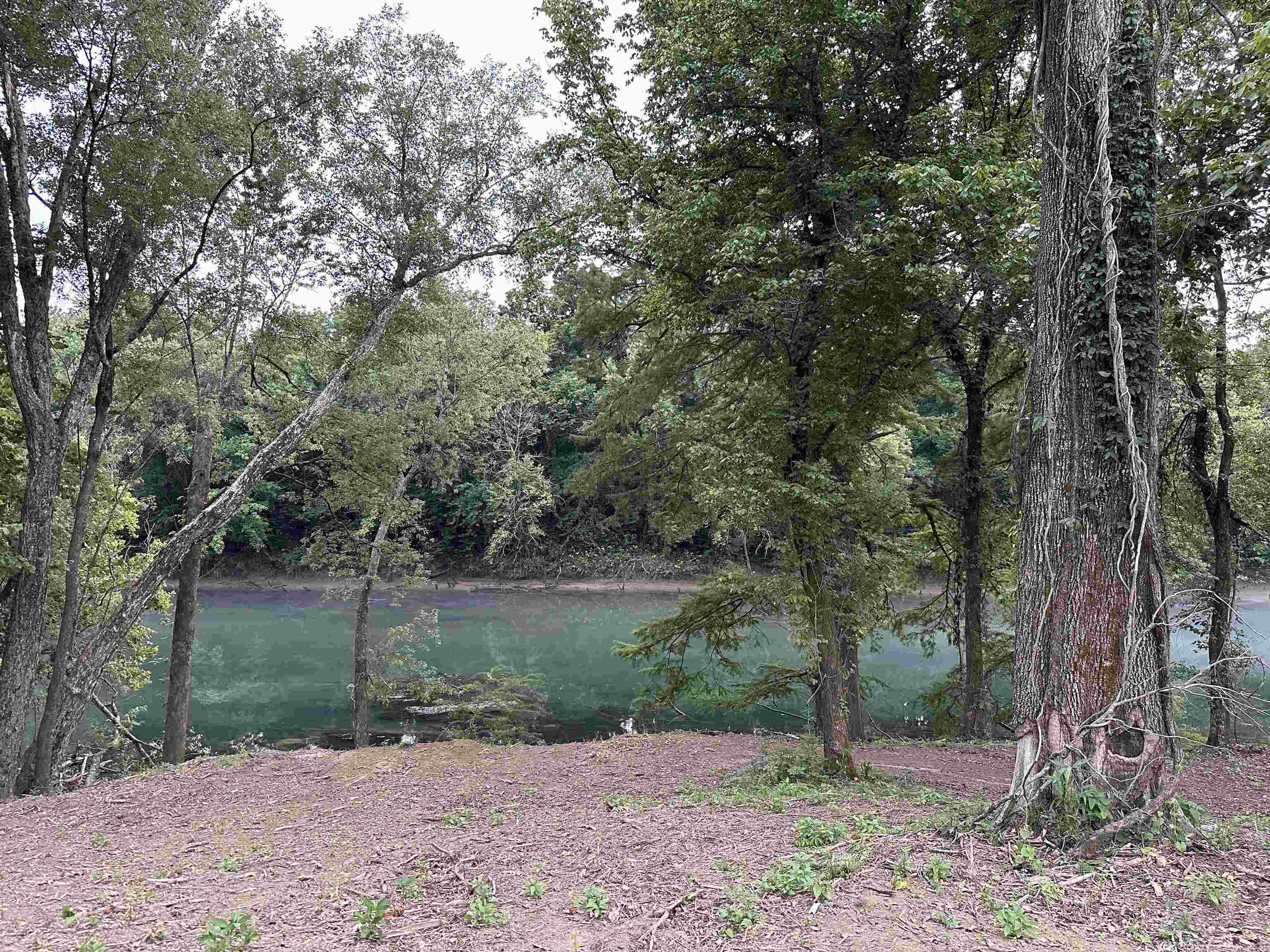 Lots 12 & 28 Riverway Rd.  Pangburn, AR