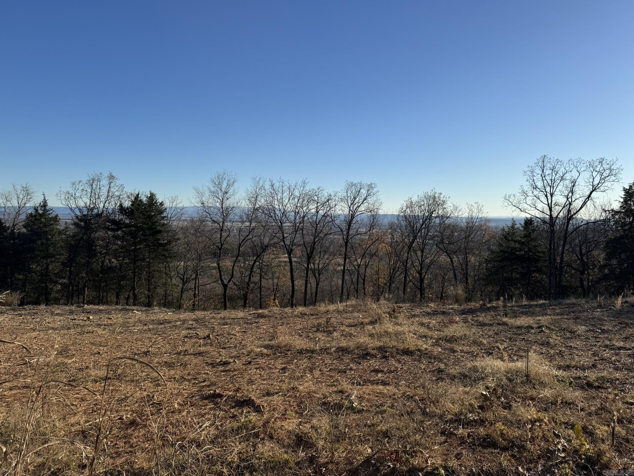 375 E Vineyard Drive  Wiederkehr Village, AR