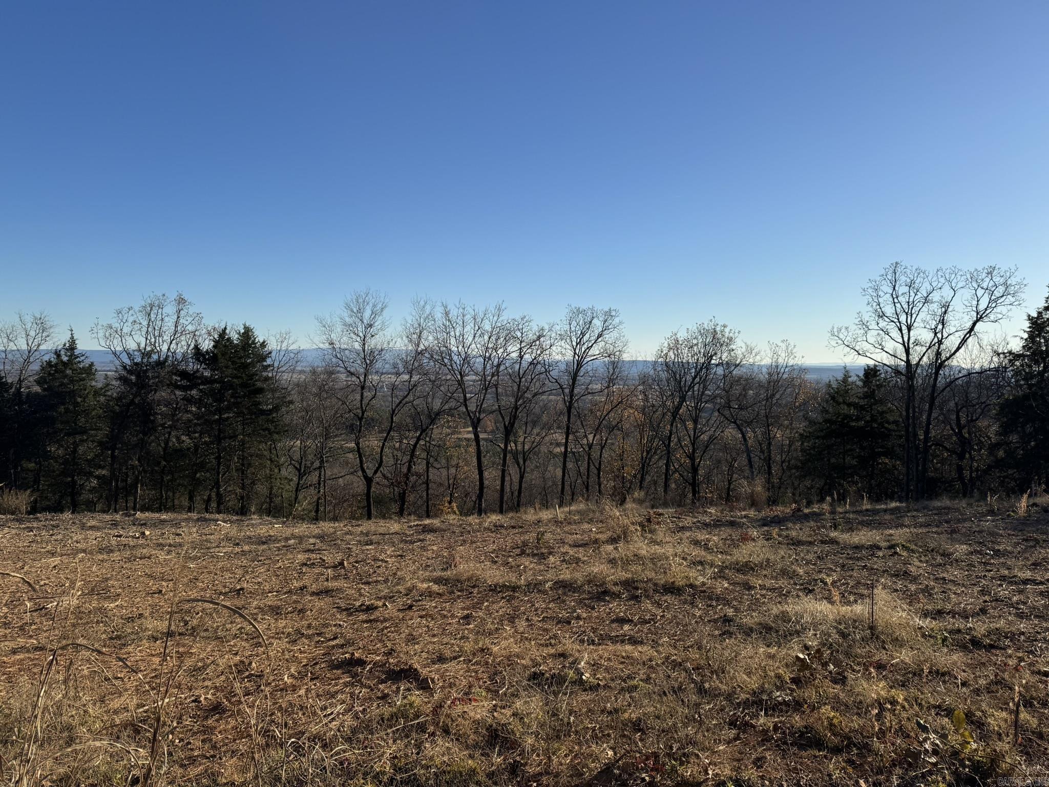 375 E Vineyard Drive  Wiederkehr Village, AR