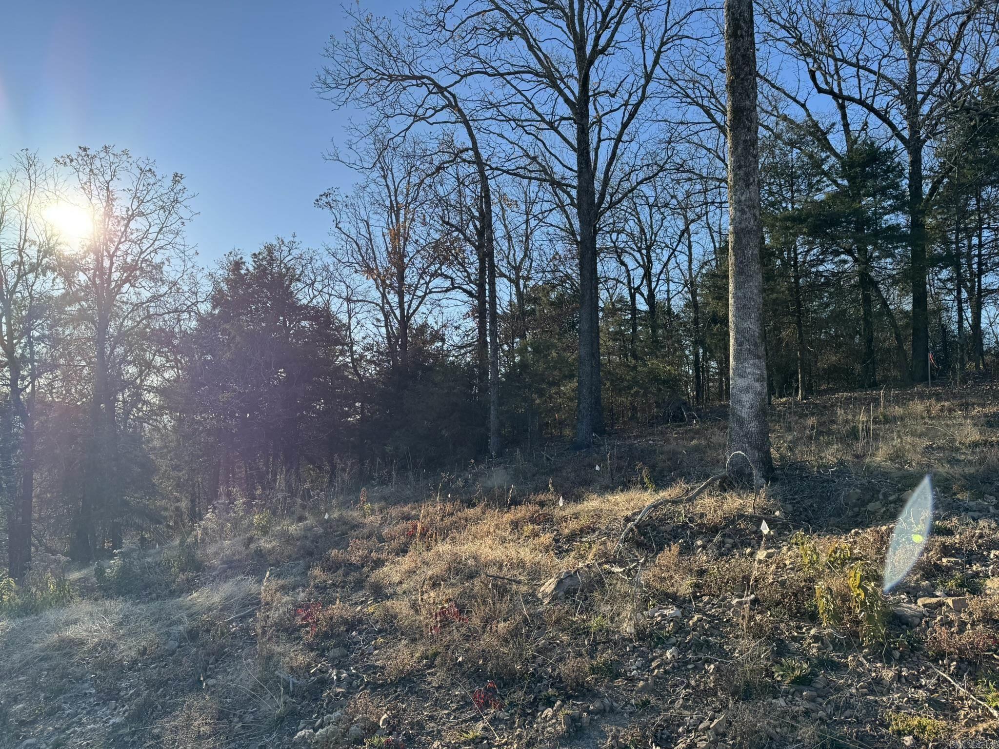 375 E Vineyard Drive  Wiederkehr Village, AR