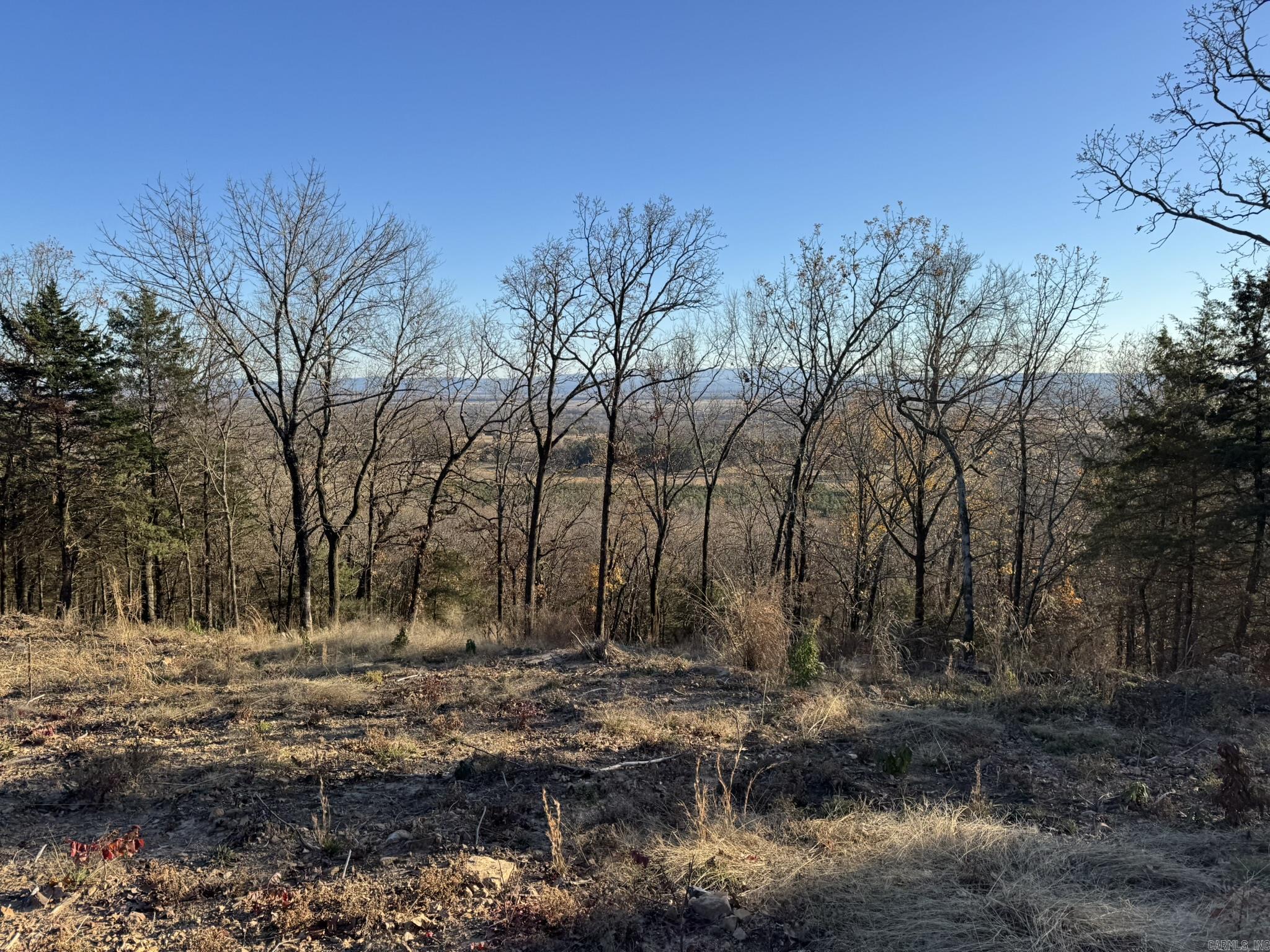 375 E Vineyard Drive  Wiederkehr Village, AR