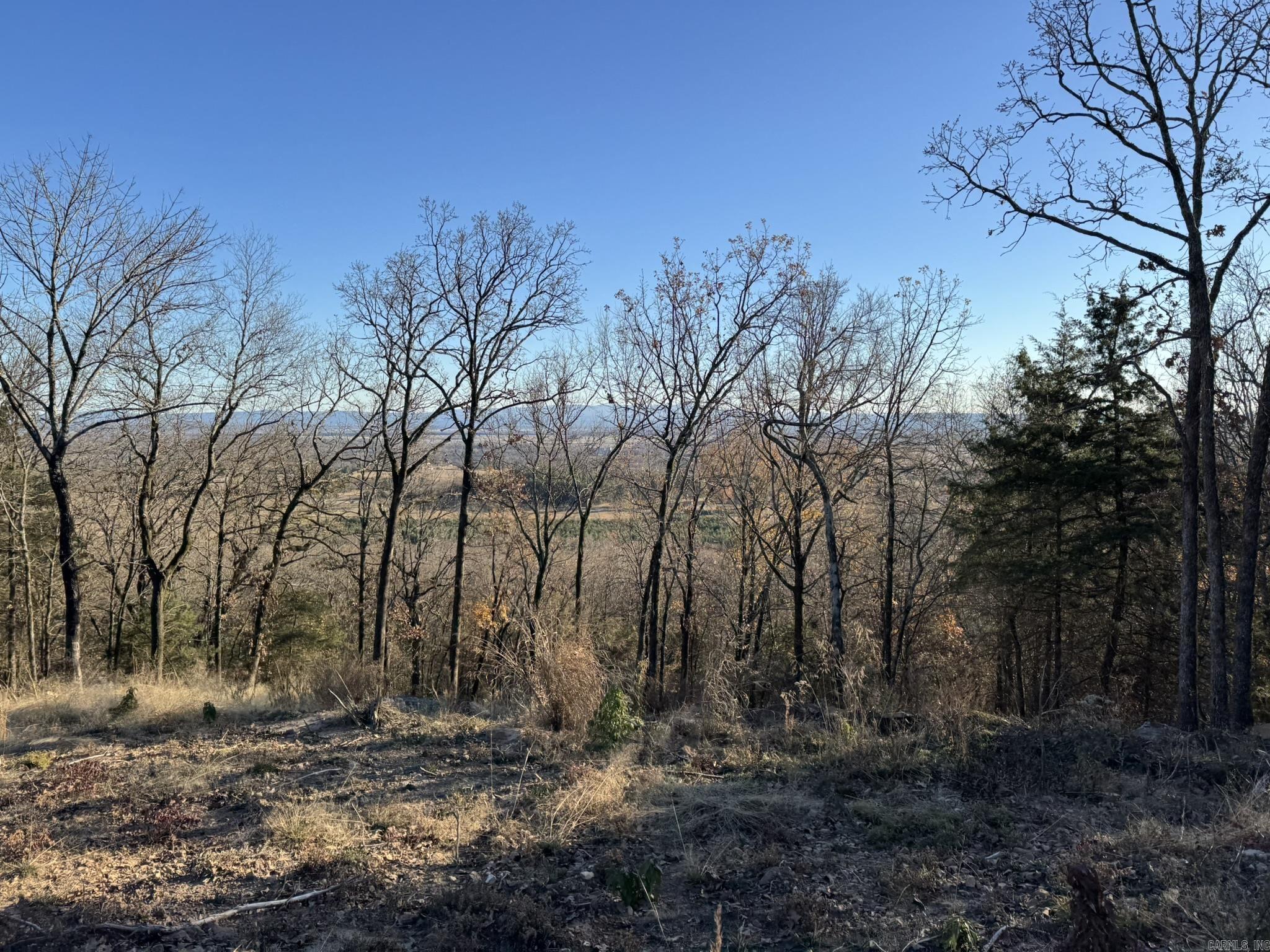 375 E Vineyard Drive  Wiederkehr Village, AR