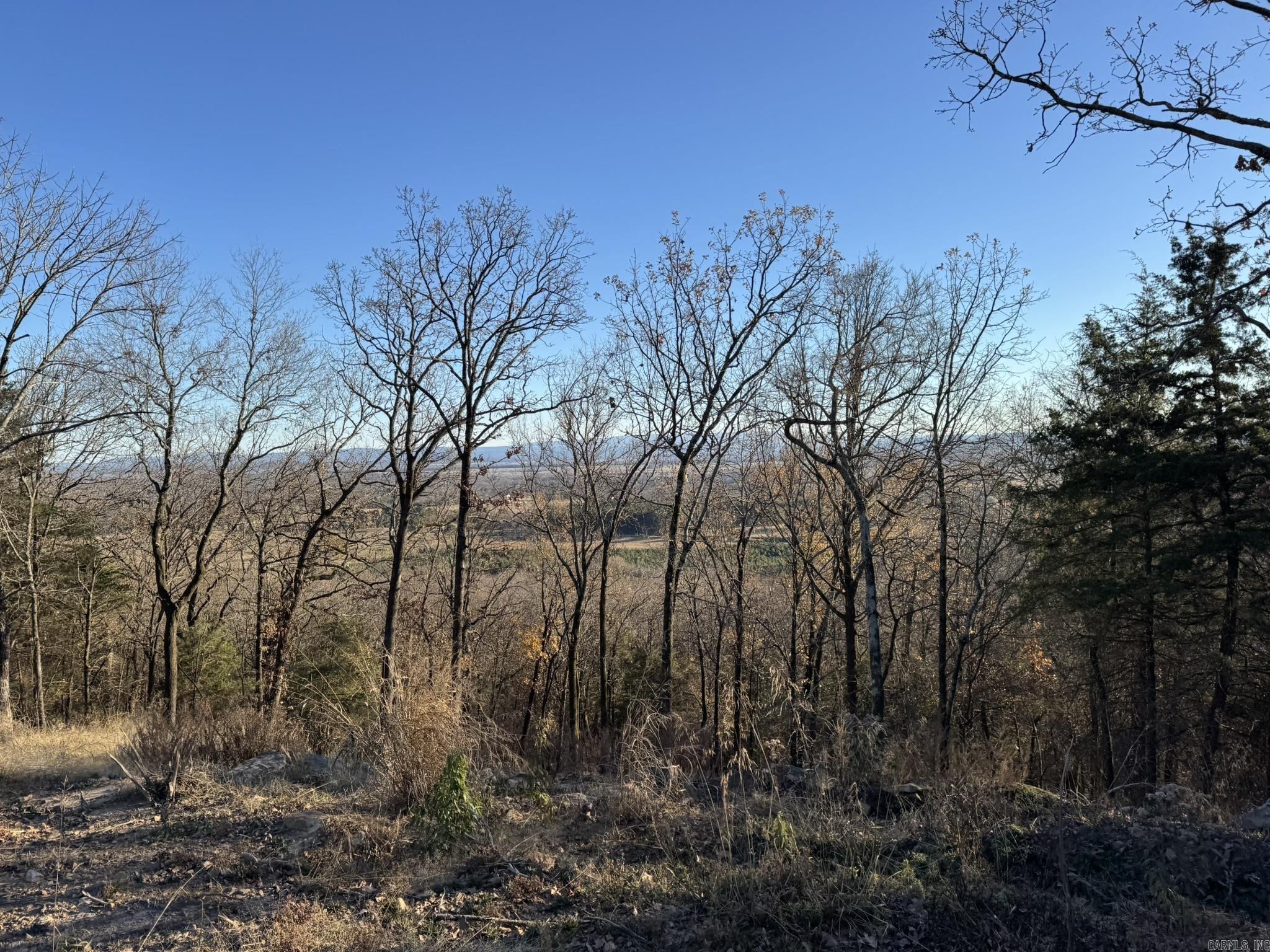 375 E Vineyard Drive  Wiederkehr Village, AR