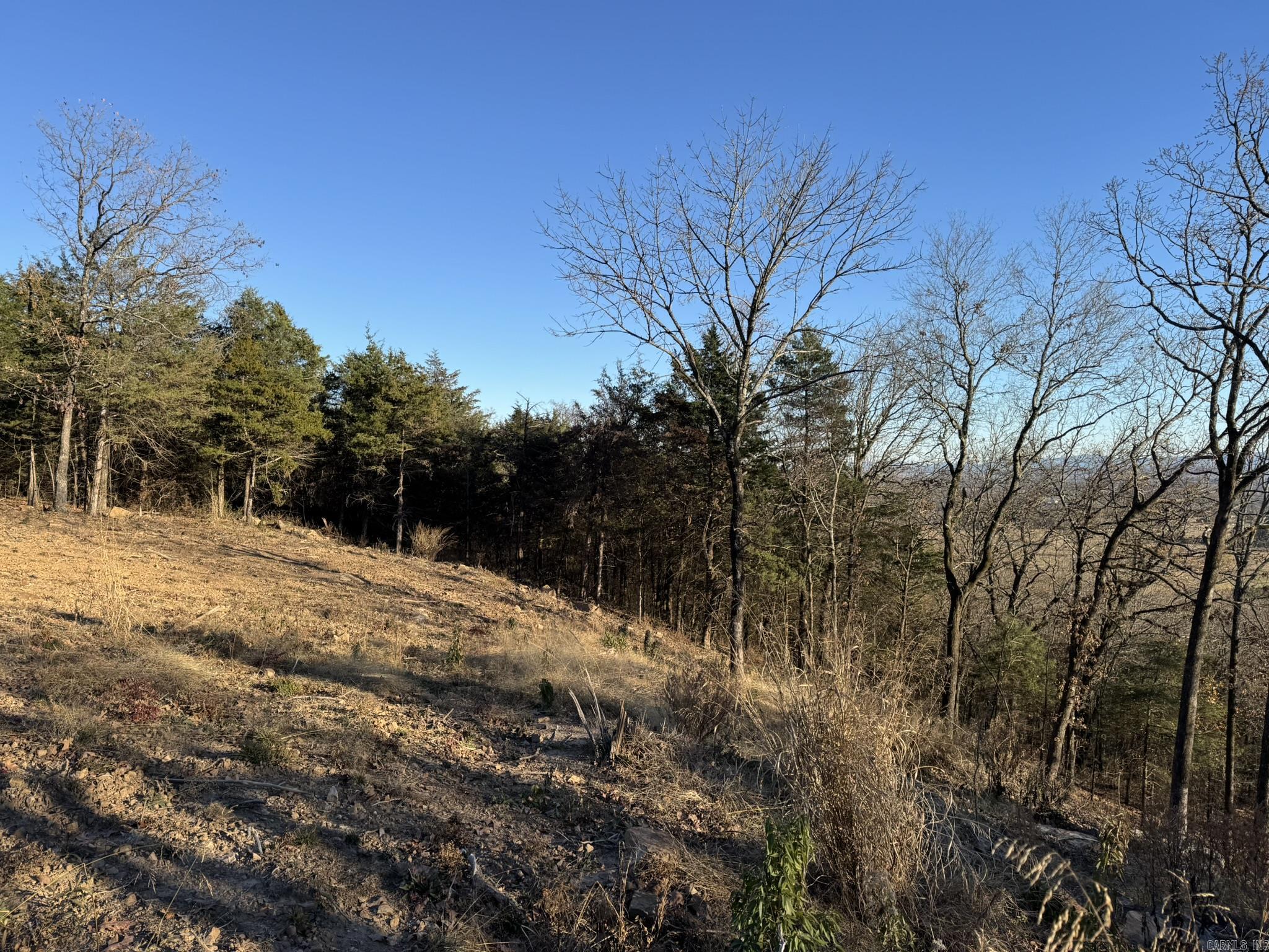 375 E Vineyard Drive  Wiederkehr Village, AR