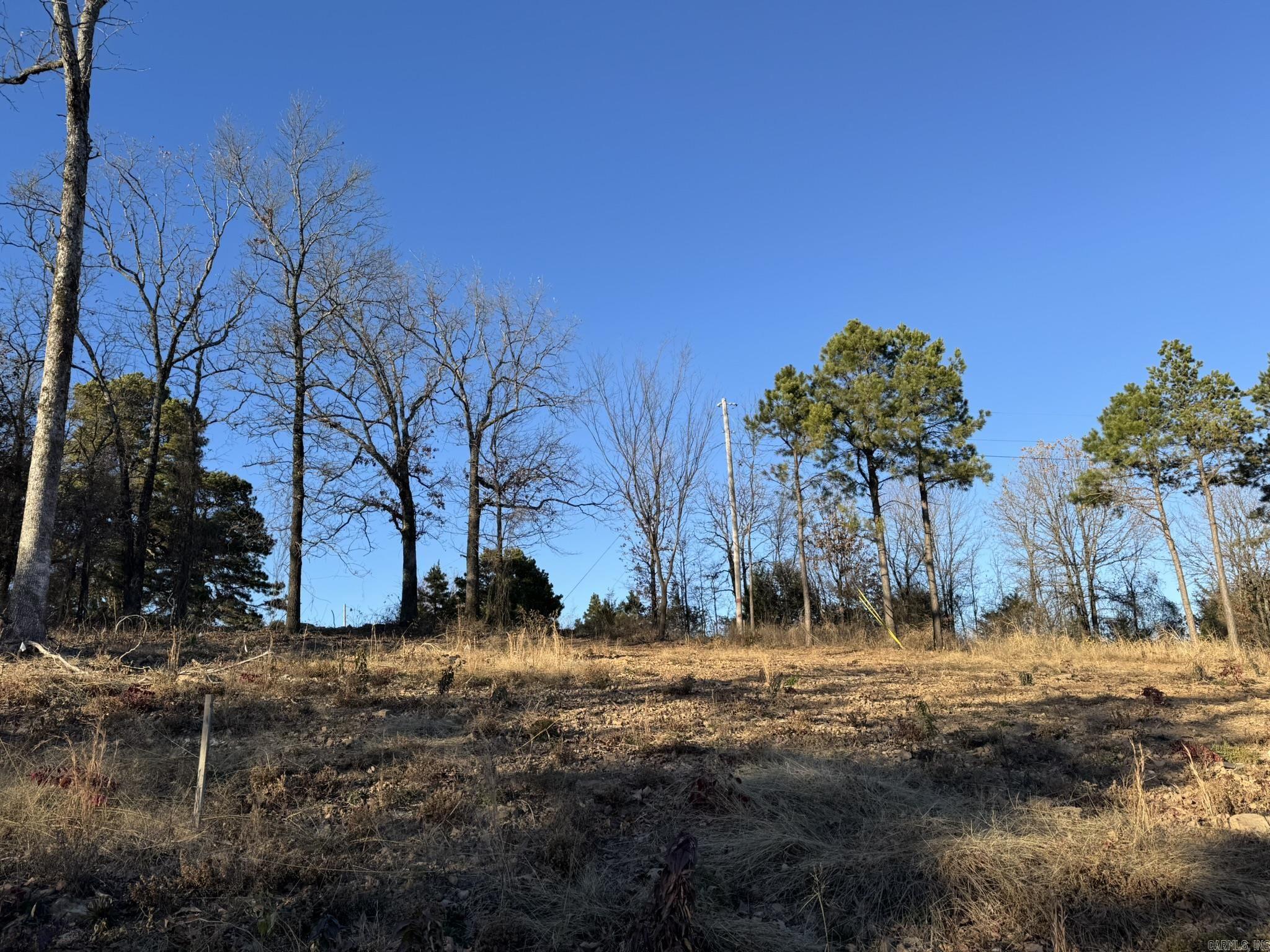 375 E Vineyard Drive  Wiederkehr Village, AR