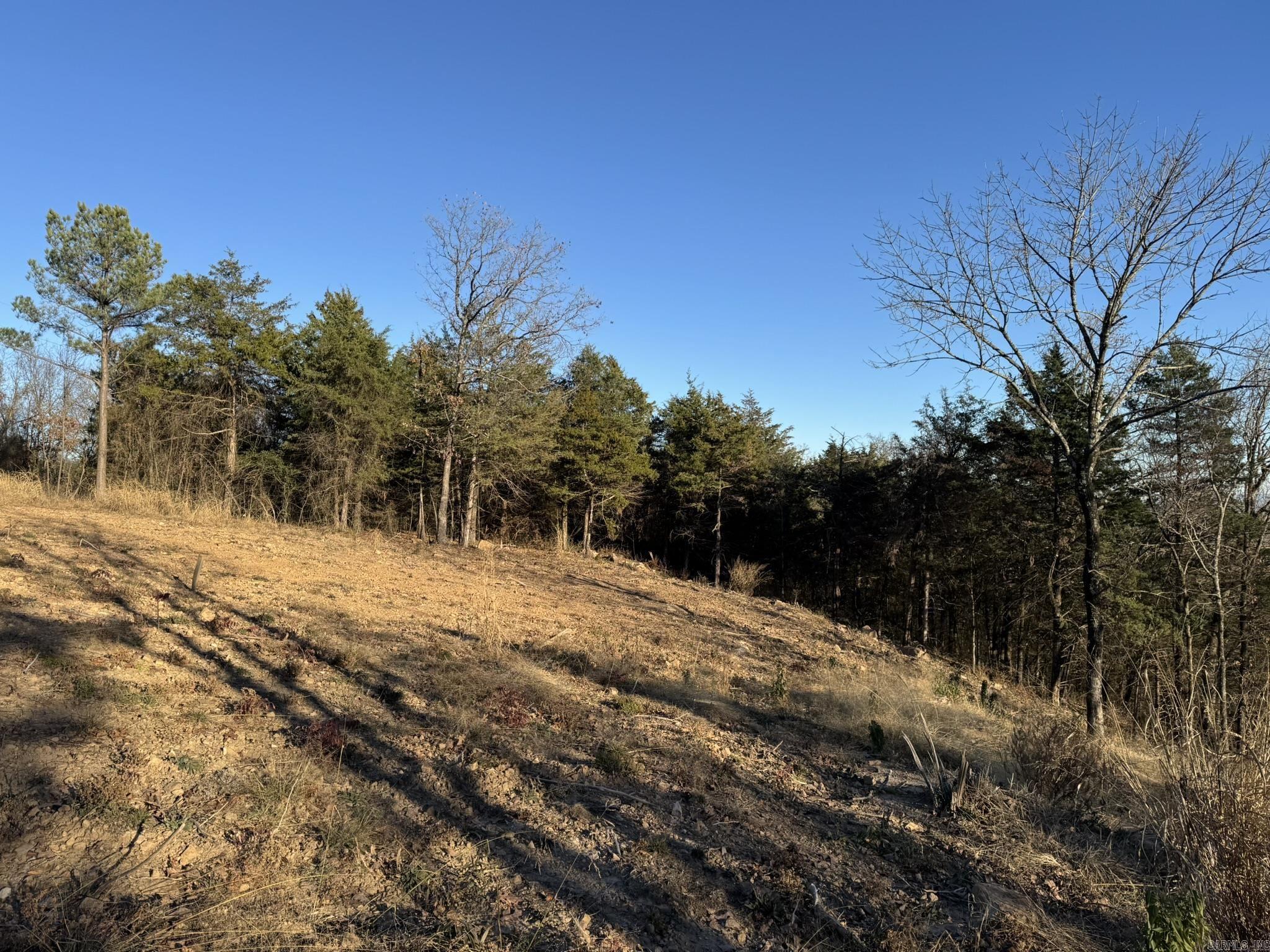 375 E Vineyard Drive  Wiederkehr Village, AR