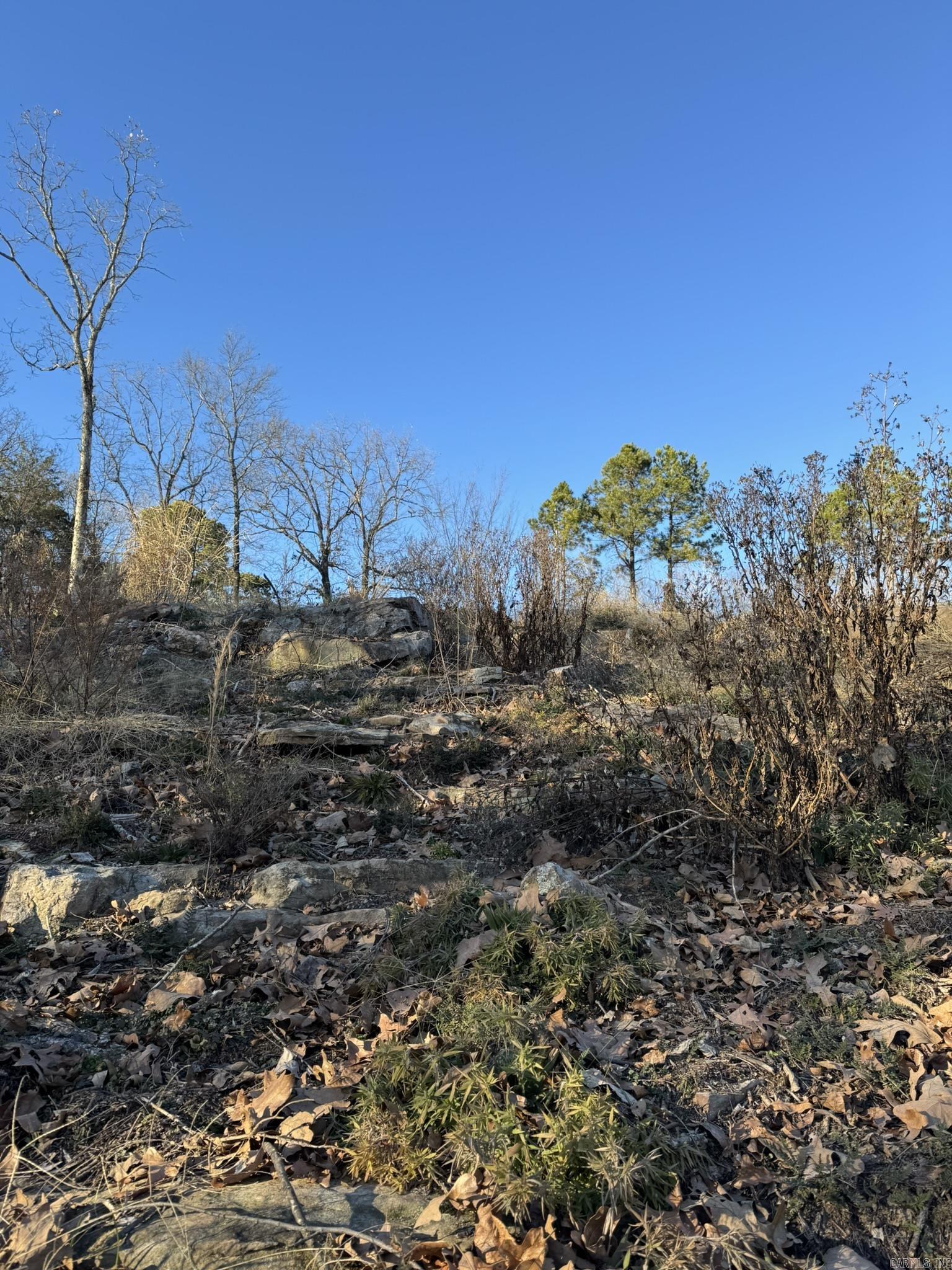 375 E Vineyard Drive  Wiederkehr Village, AR