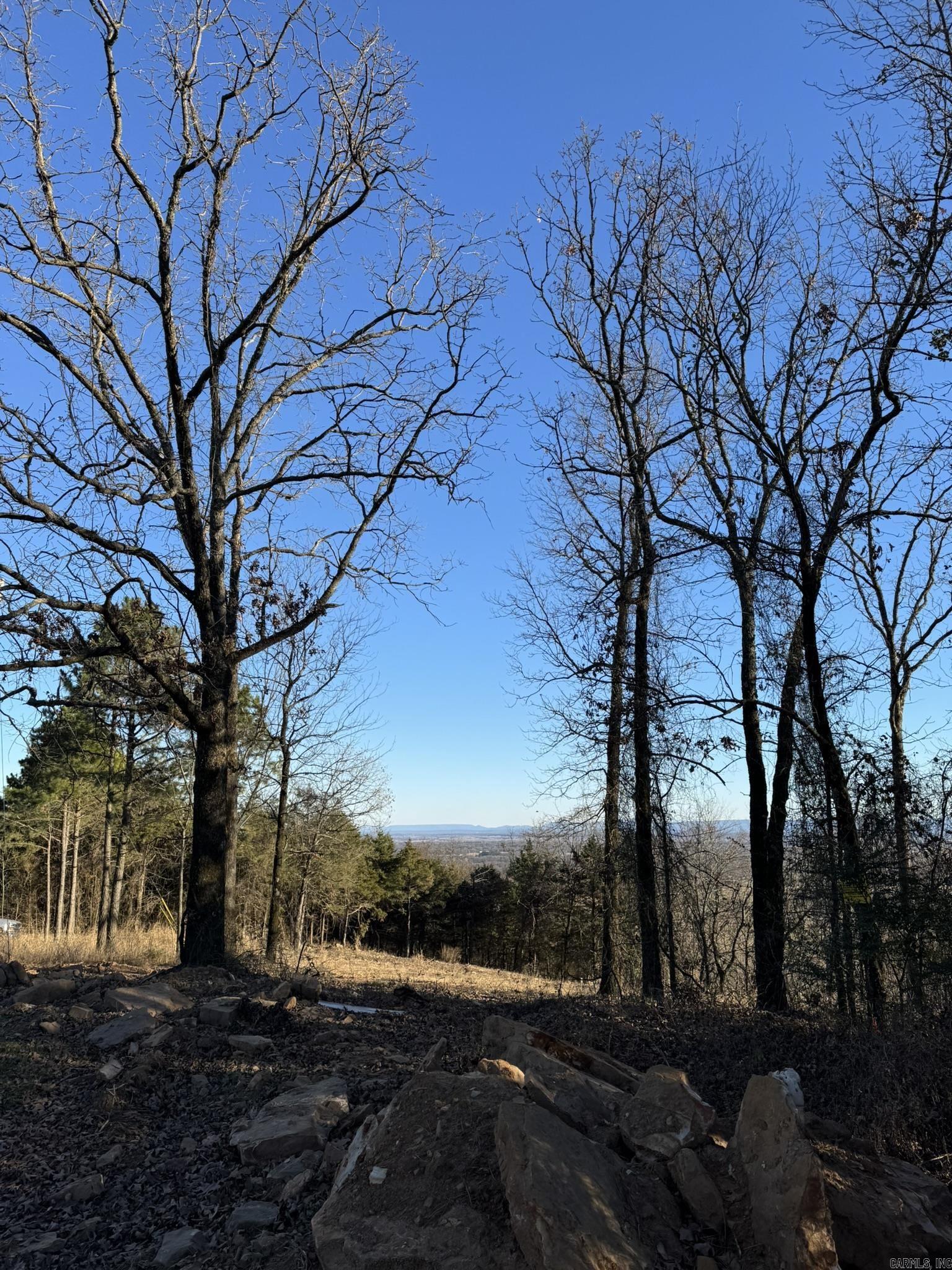 375 E Vineyard Drive  Wiederkehr Village, AR