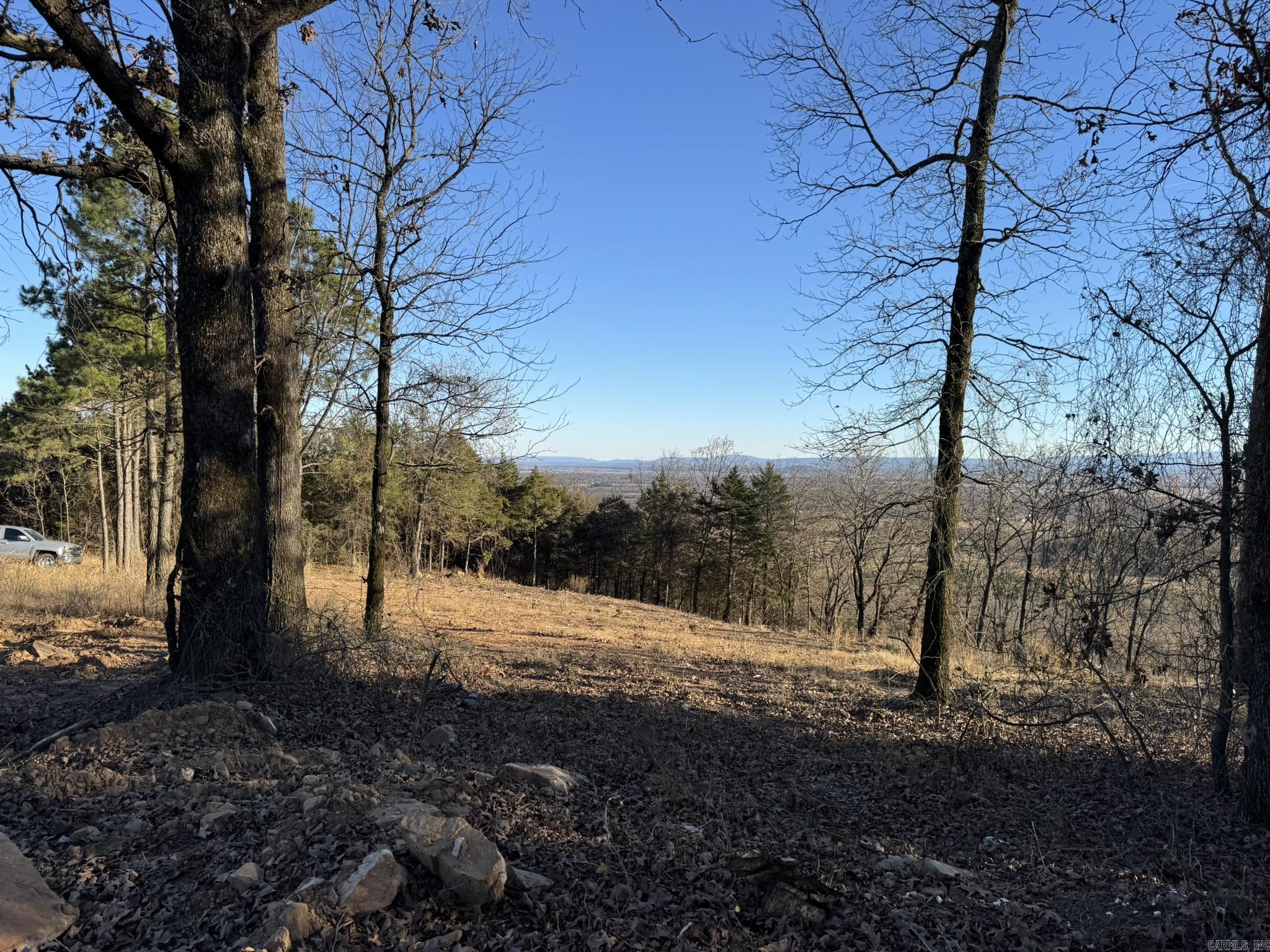 375 E Vineyard Drive  Wiederkehr Village, AR