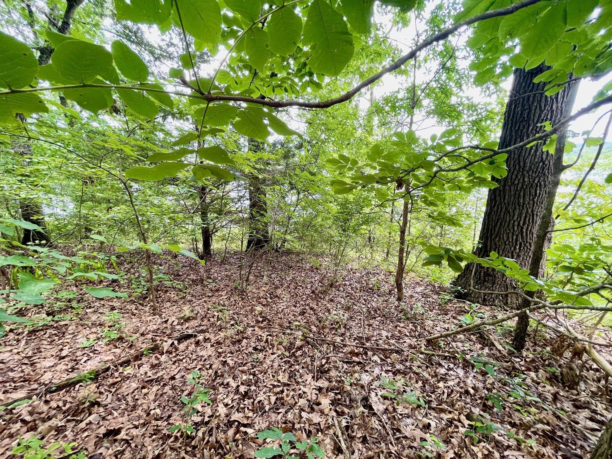 300 Isabella  Horseshoe Bend, AR