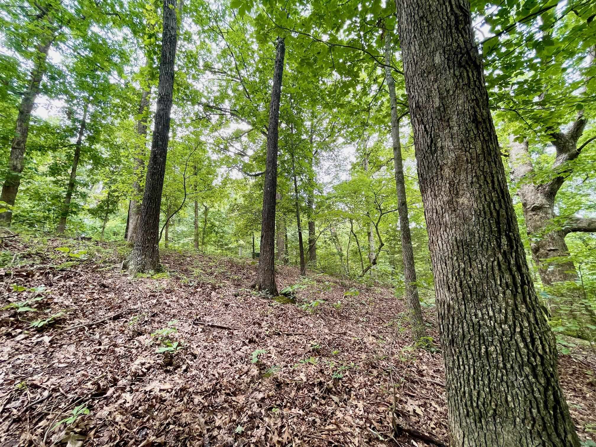 300 Isabella  Horseshoe Bend, AR