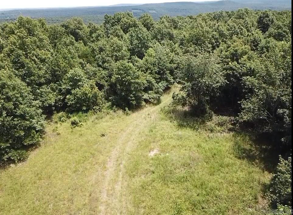  Sunnyland  Mountain View, AR