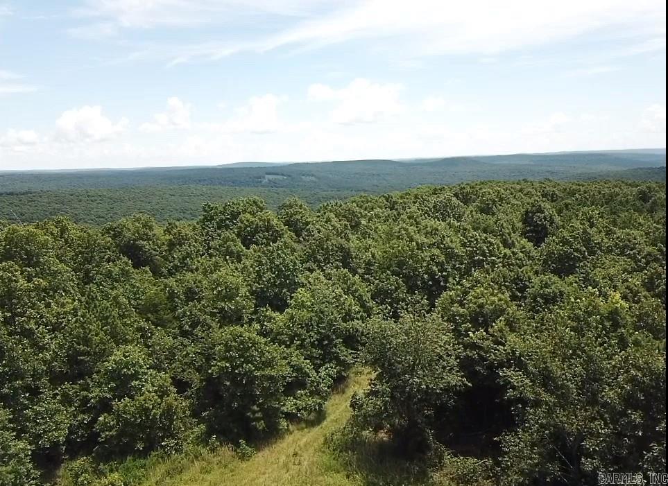  Sunnyland  Mountain View, AR