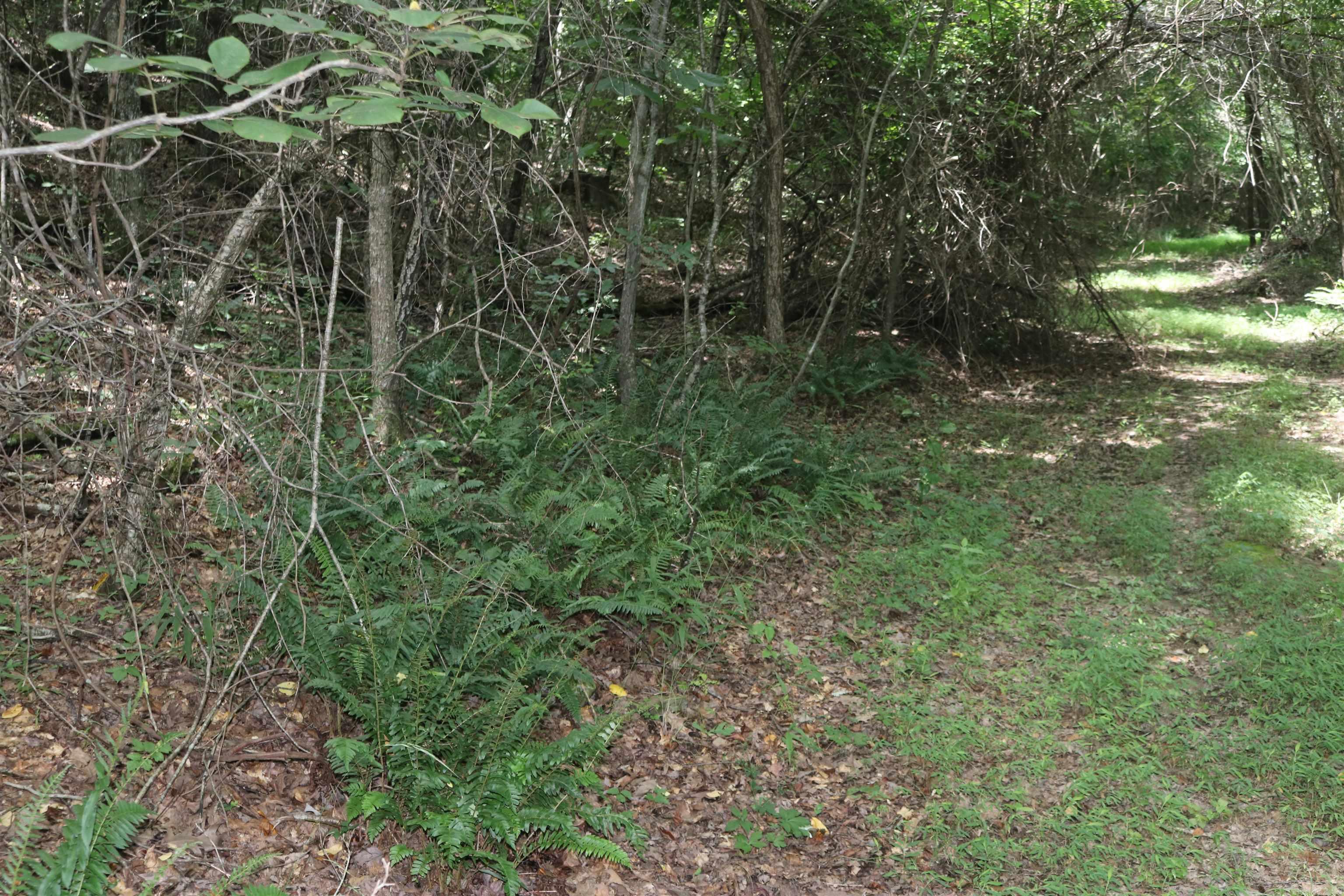  Sunnyland  Mountain View, AR