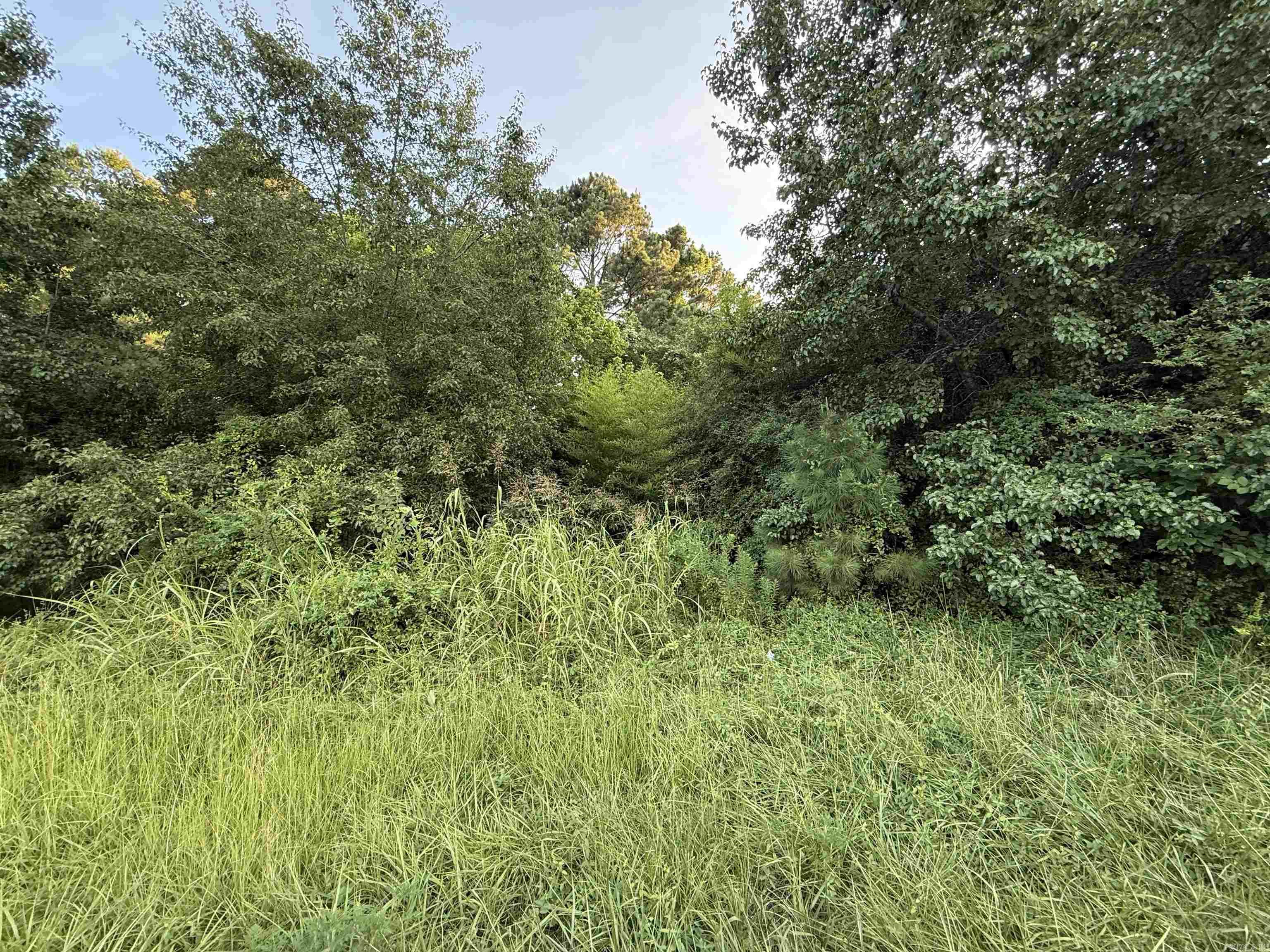 00 Mountain Pine  Hot Springs, AR