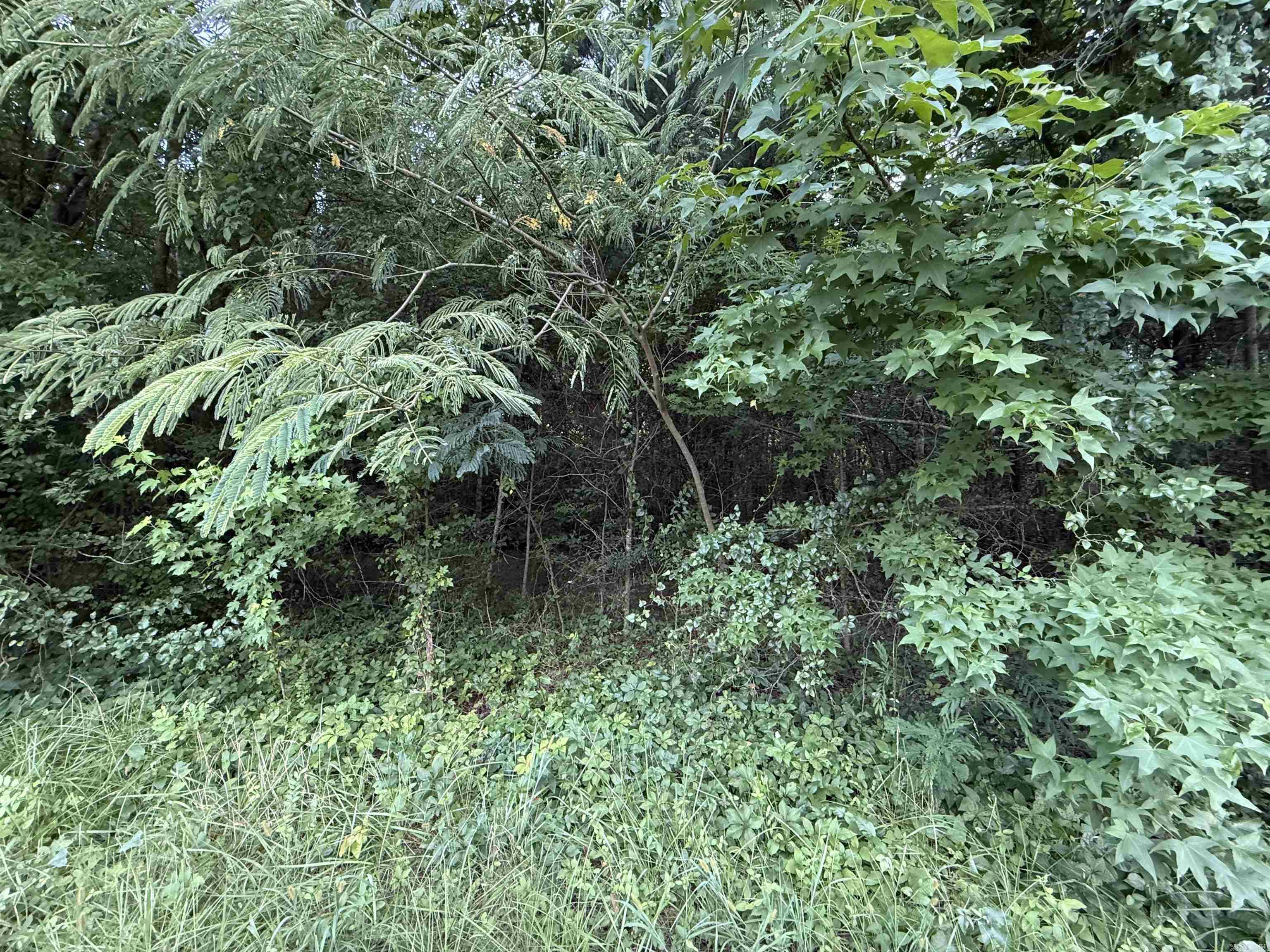 00 Mountain Pine  Hot Springs, AR