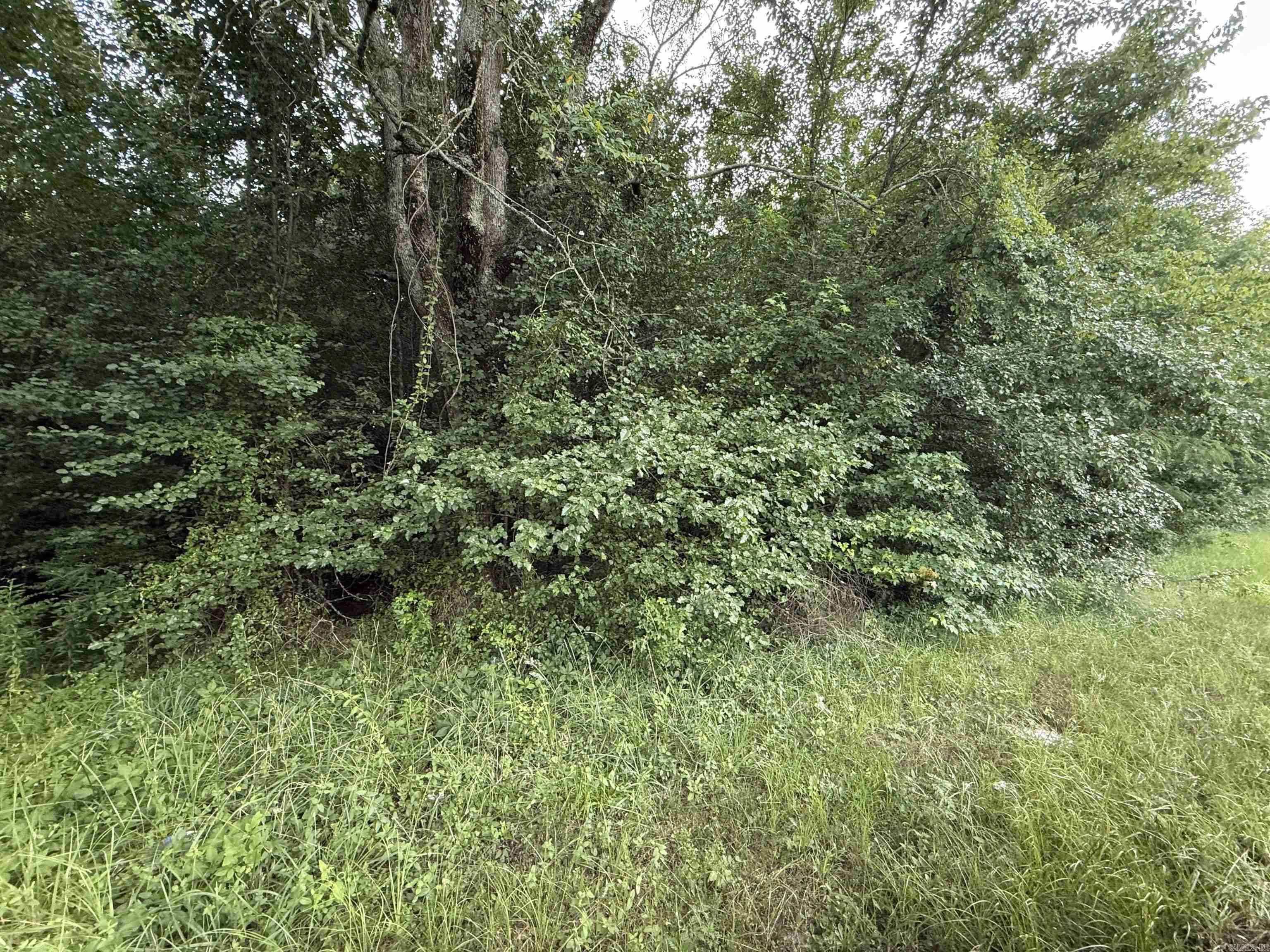 00 Mountain Pine  Hot Springs, AR