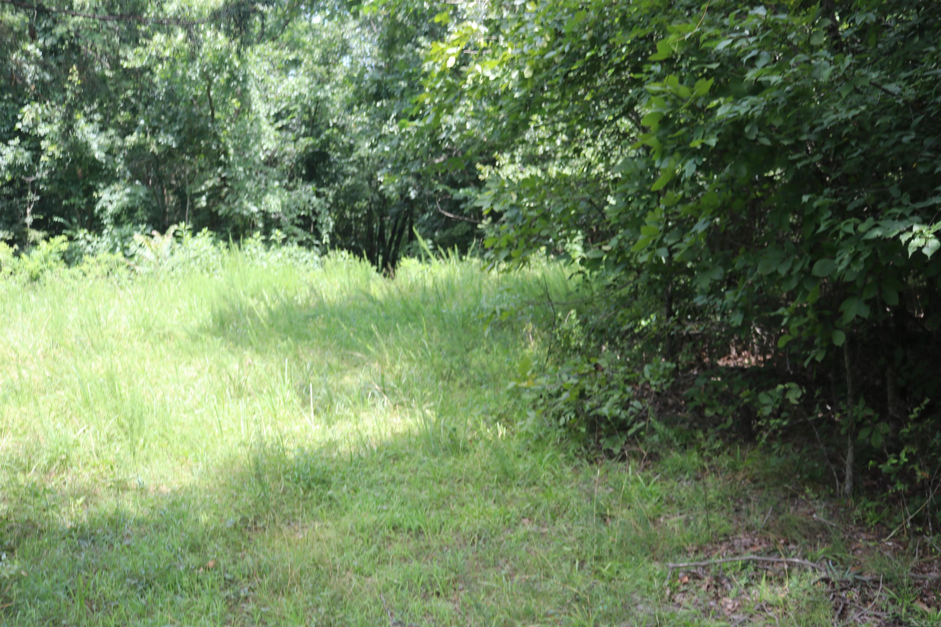  Sunnyland  Mountain View, AR