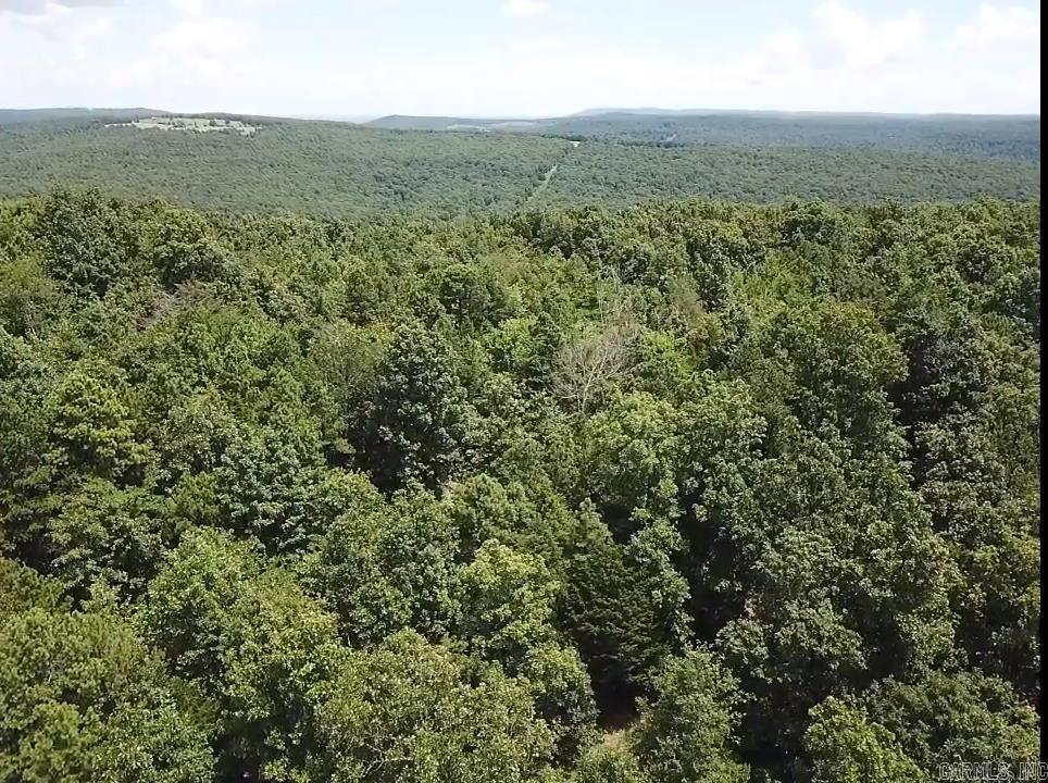  Sunnyland  Mountain View, AR