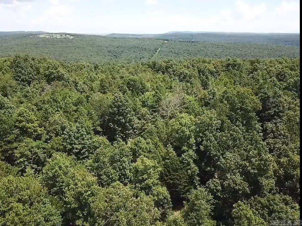  Sunnyland  Mountain View, AR