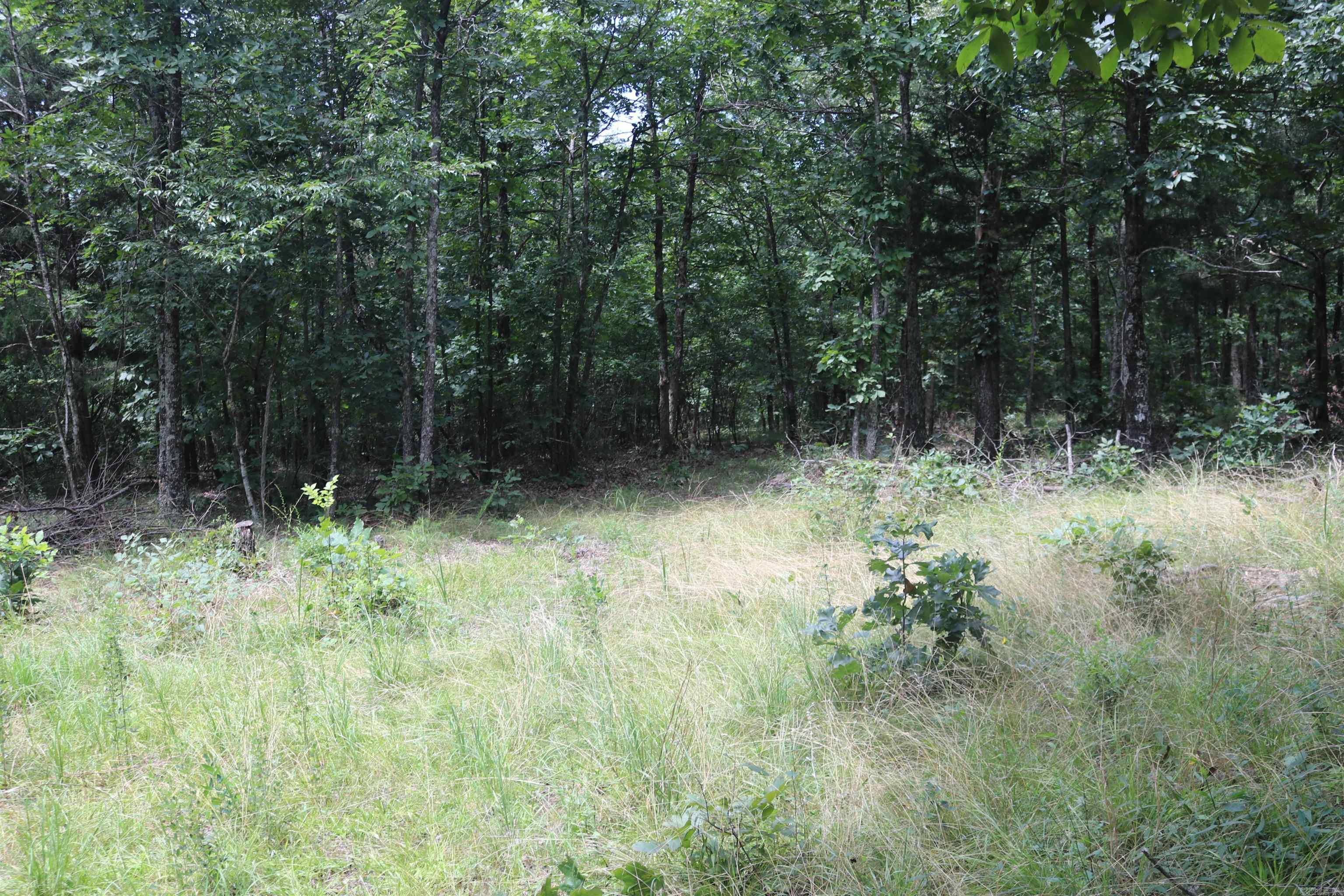  Sunnyland  Mountain View, AR