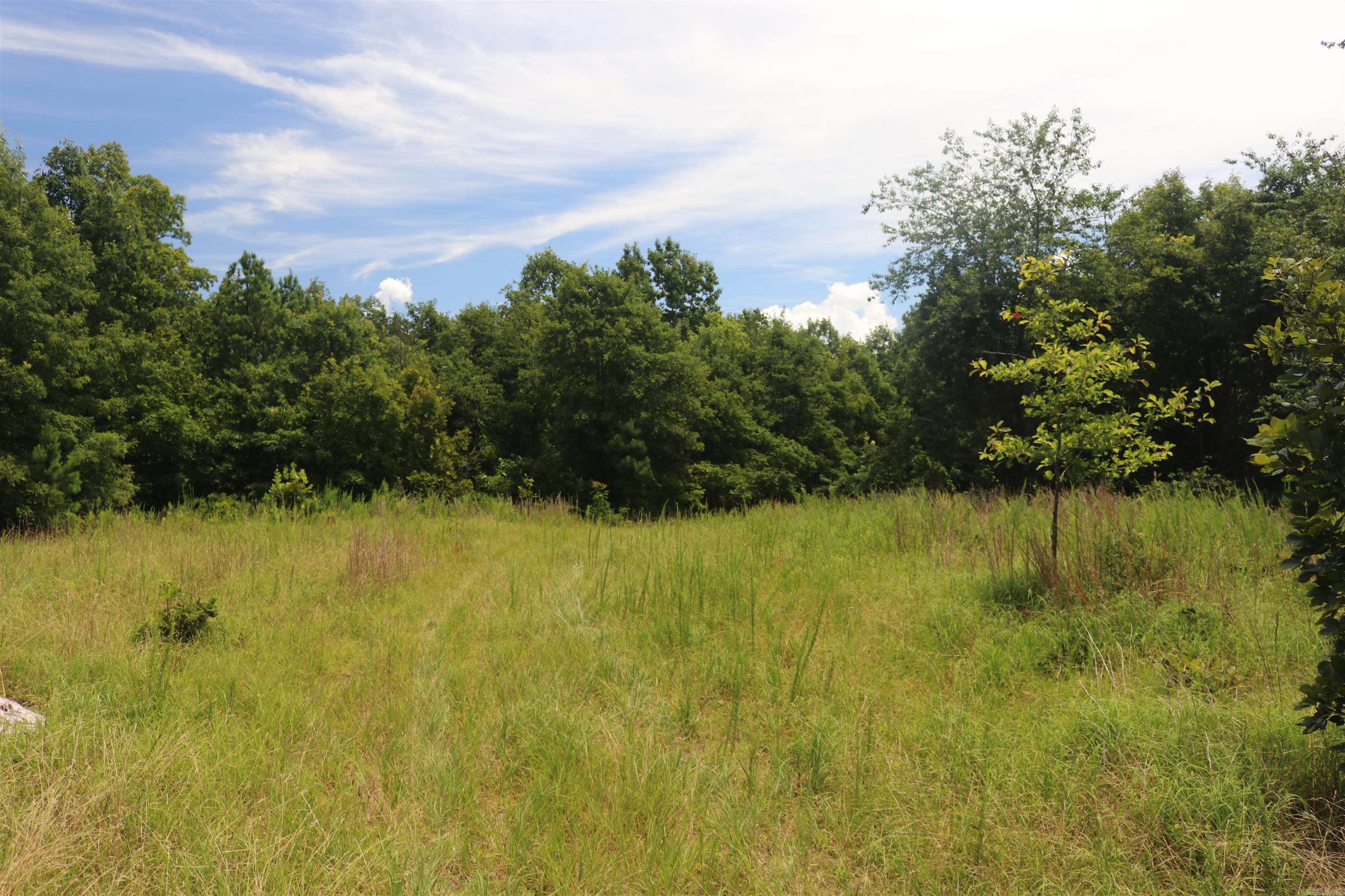  Sunnyland  Mountain View, AR