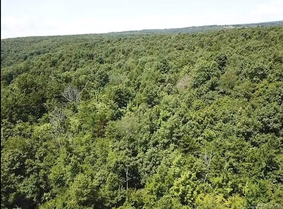  Sunnyland  Mountain View, AR