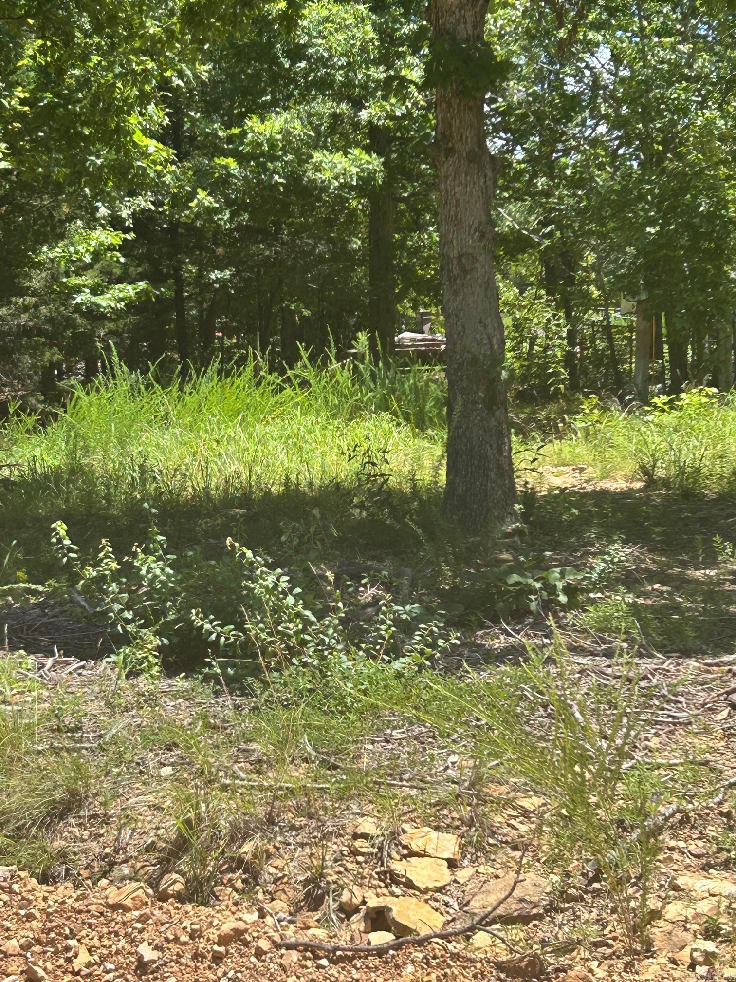  Sunnyland  Mountain View, AR