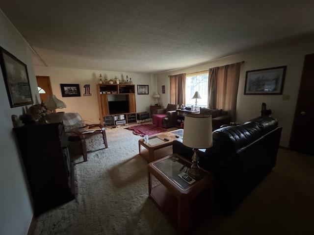 203 E Green Valley Drive  Horseshoe Bend, AR