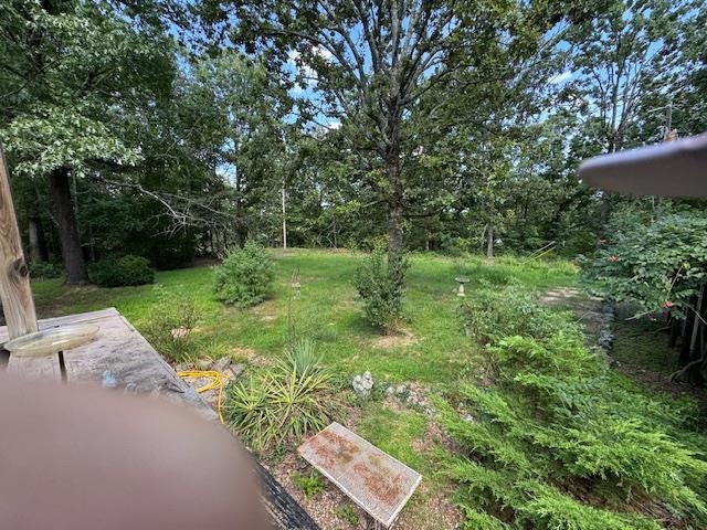 203 E Green Valley Drive  Horseshoe Bend, AR