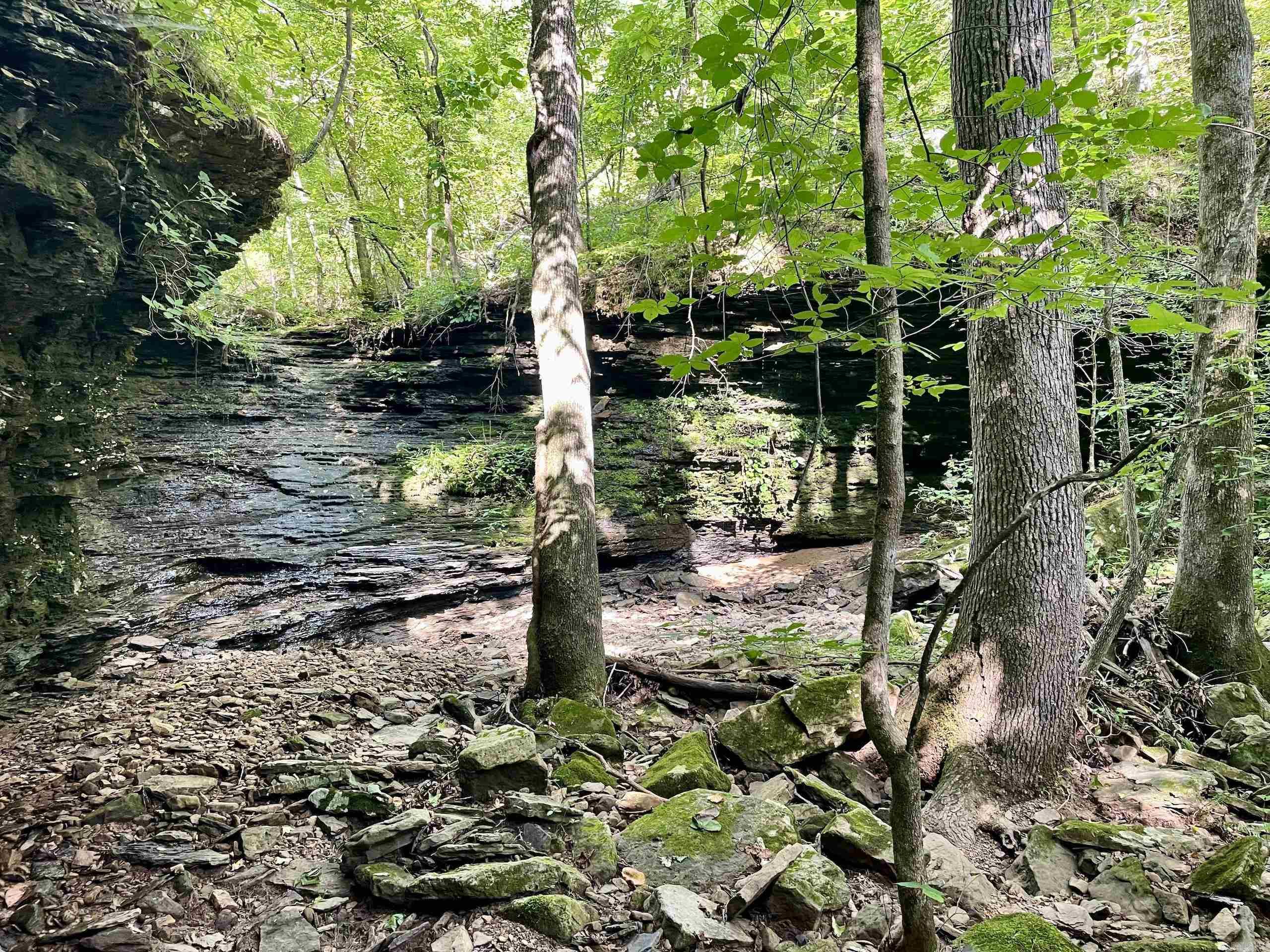 000 Old Brewer Road North  Edgemont, AR