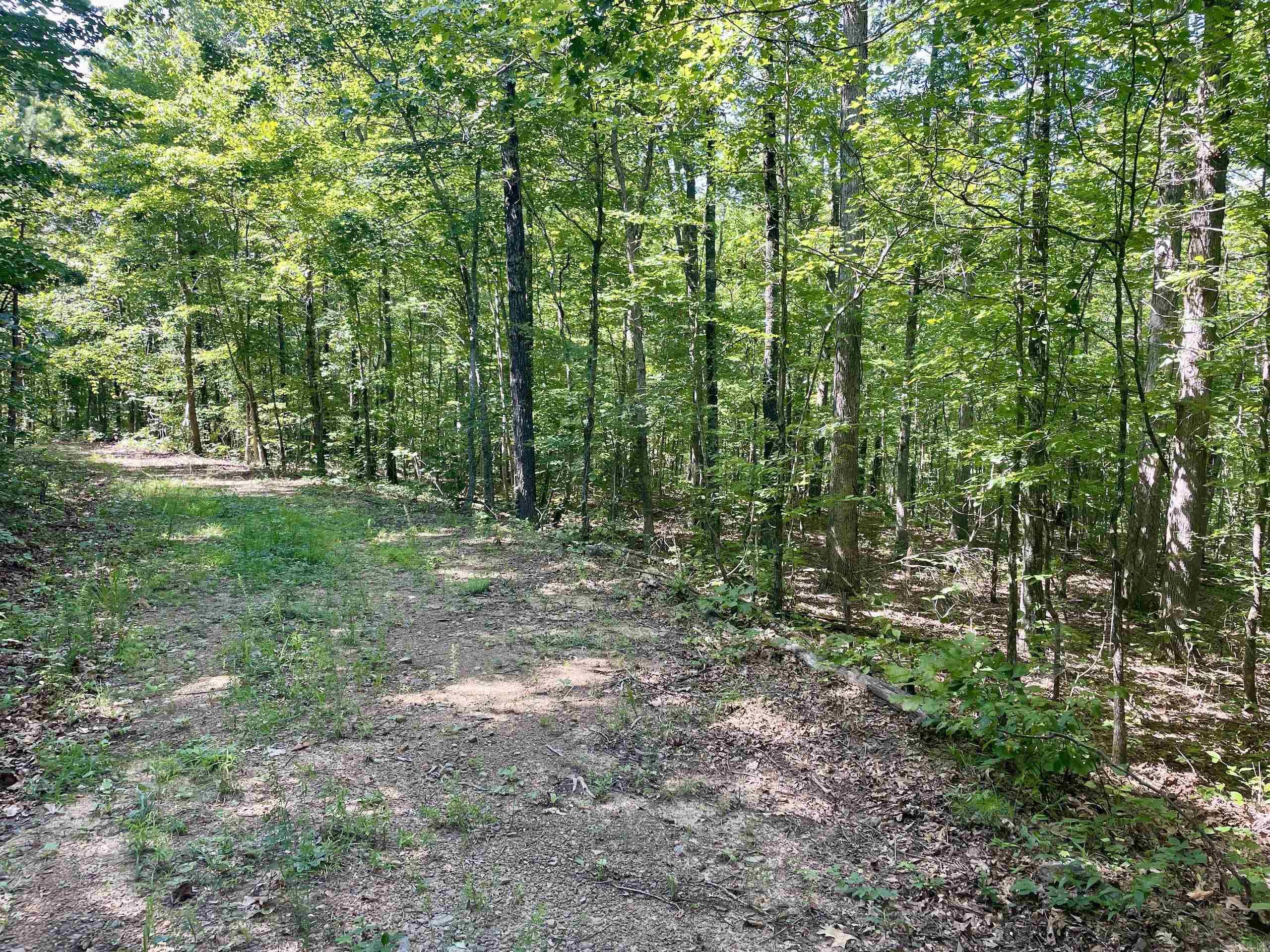 000 Old Brewer Road North  Edgemont, AR