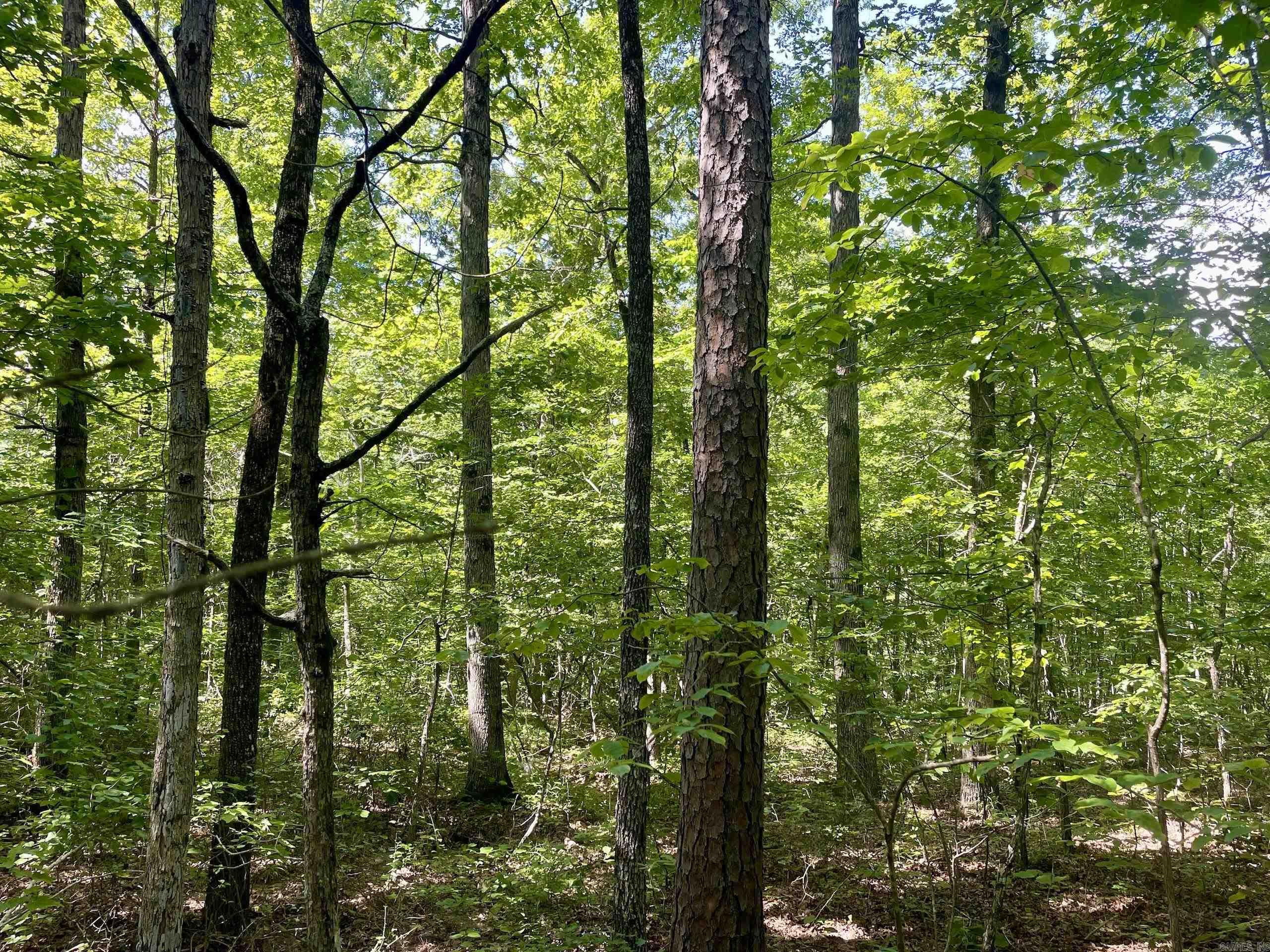 000 Old Brewer Road North  Edgemont, AR