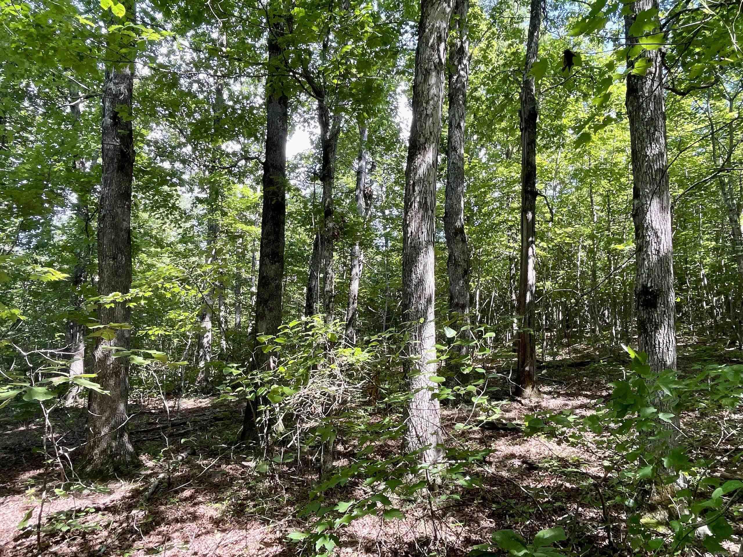 000 Old Brewer Road North  Edgemont, AR