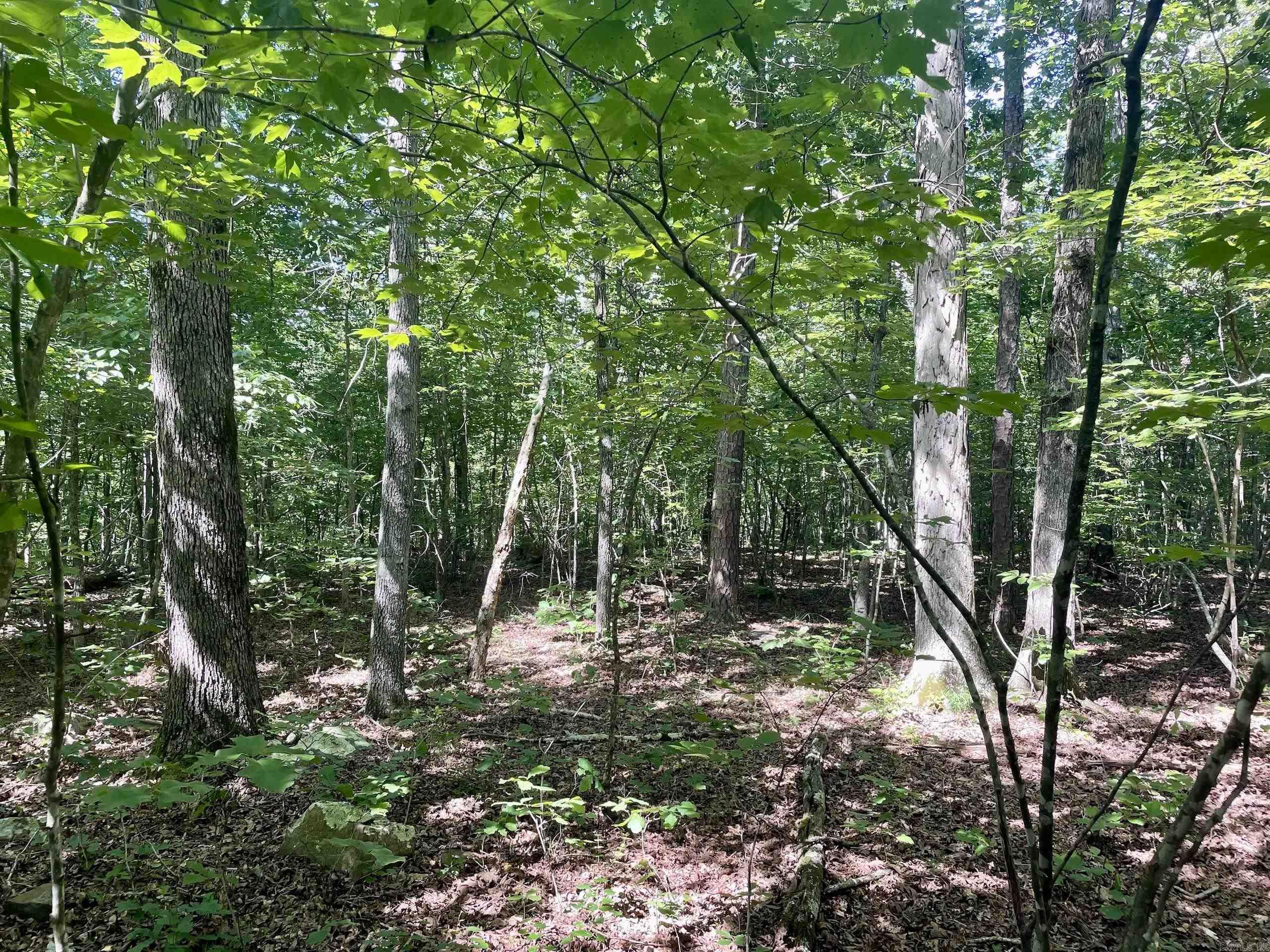 000 Old Brewer Road North  Edgemont, AR