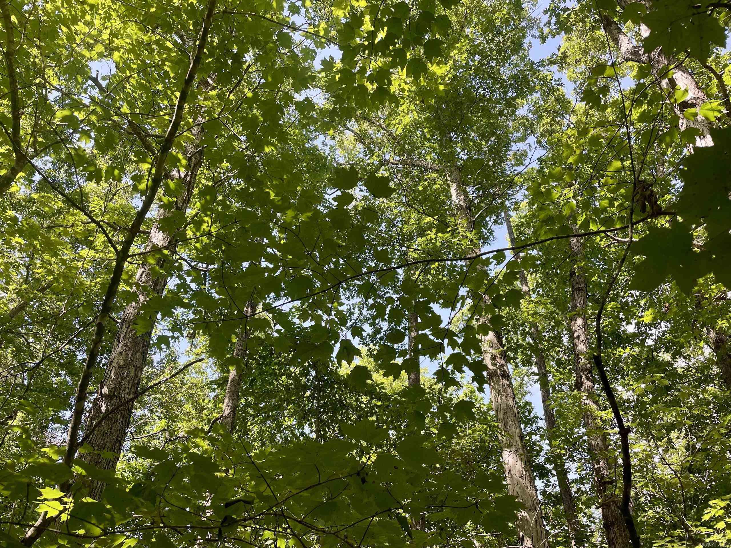 000 Old Brewer Road North  Edgemont, AR