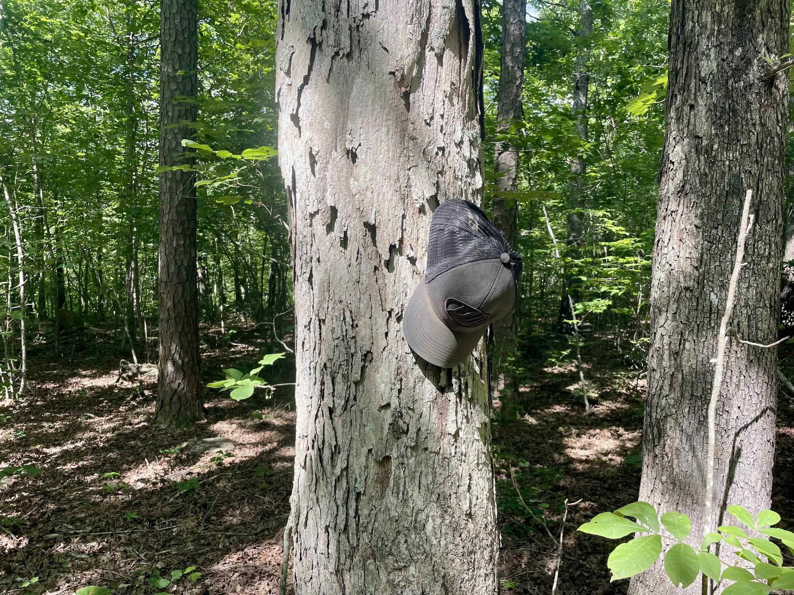 000 Old Brewer Road North  Edgemont, AR