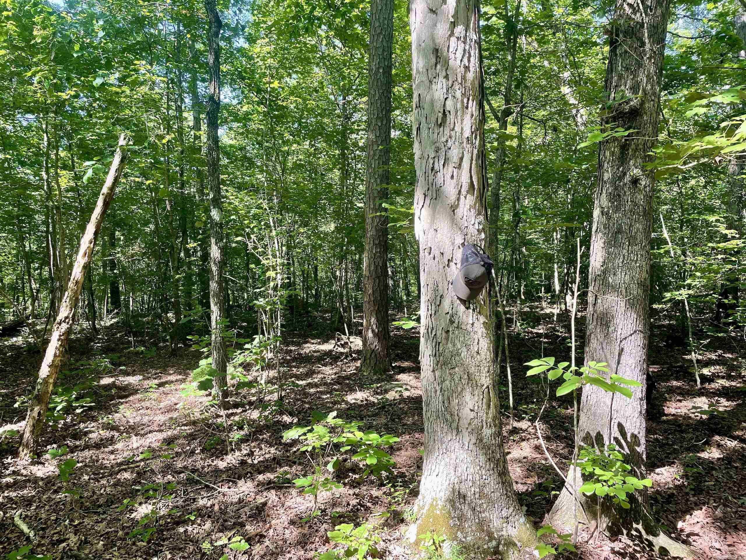 000 Old Brewer Road North  Edgemont, AR