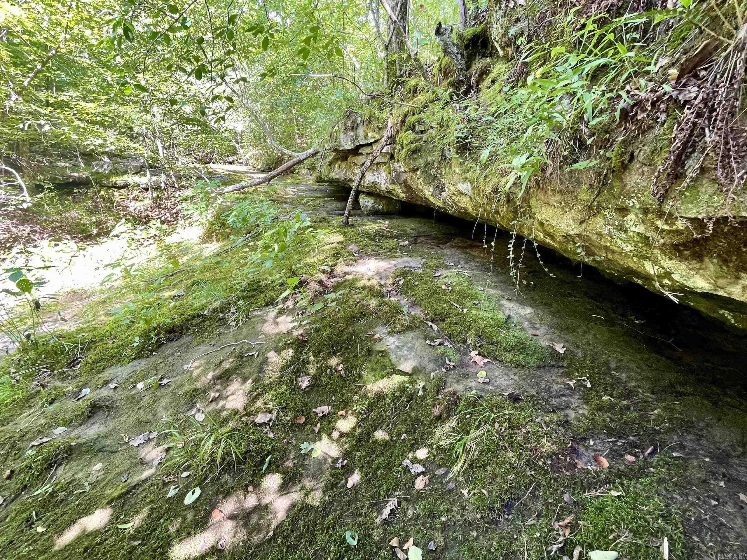 000 Old Brewer Road North  Edgemont, AR