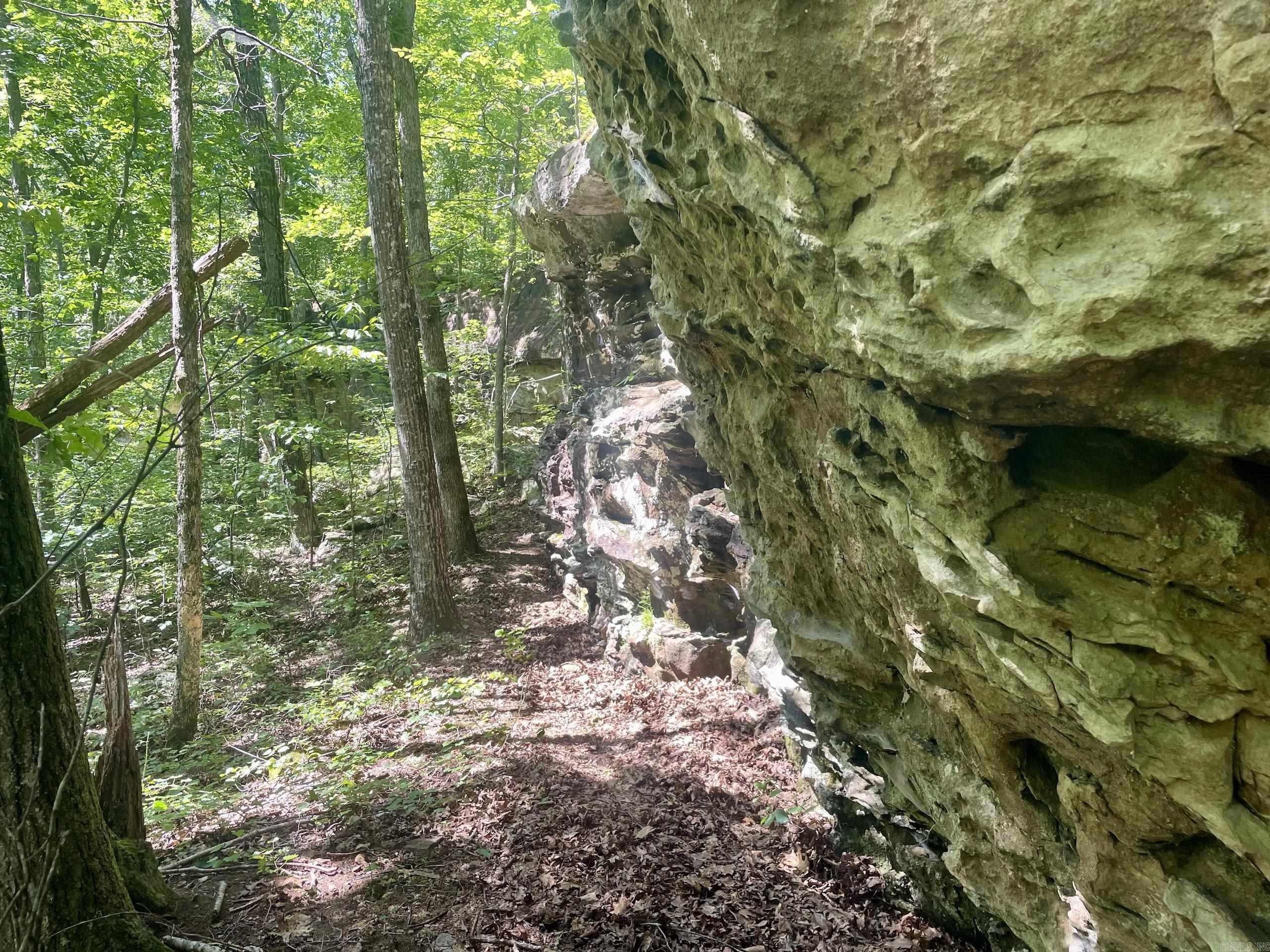 000 Old Brewer Road North  Edgemont, AR