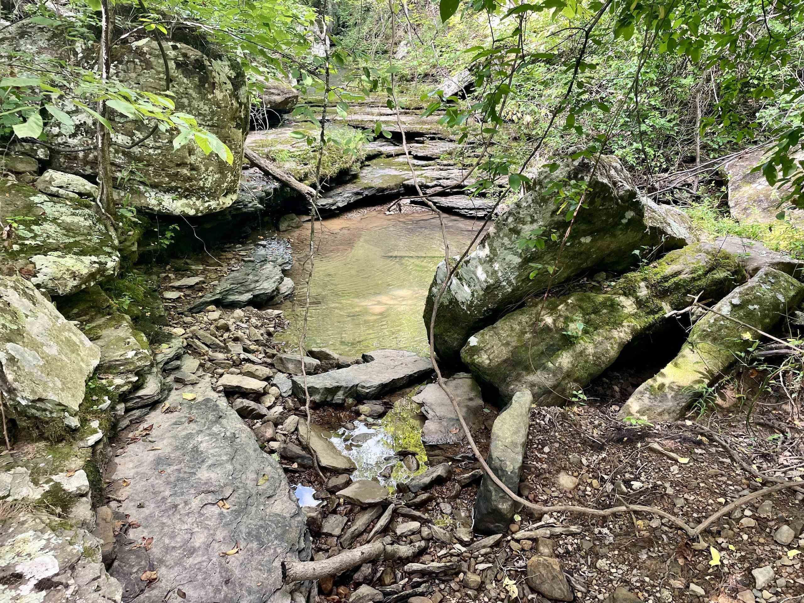 000 Old Brewer Road North  Edgemont, AR